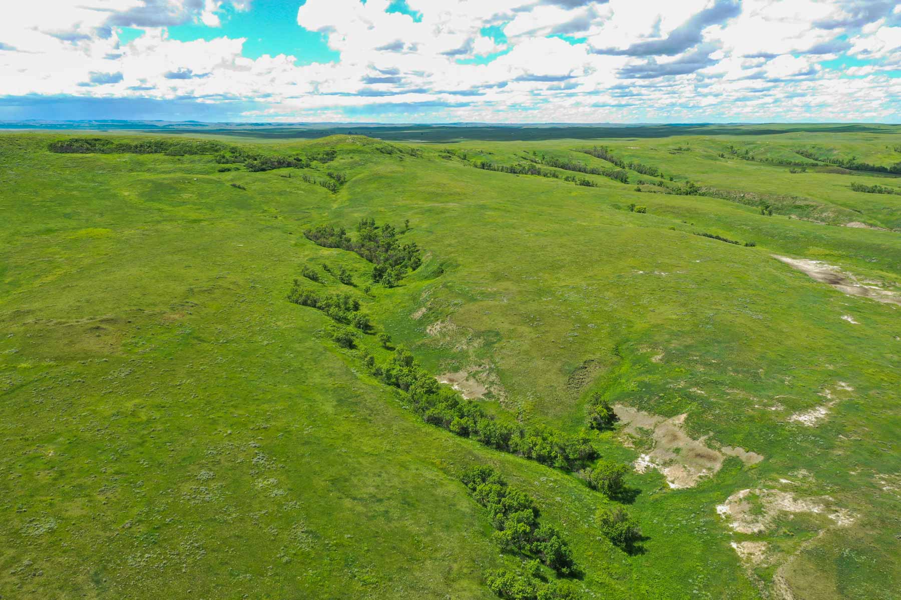 ZX Ranch property picture 67 of 82