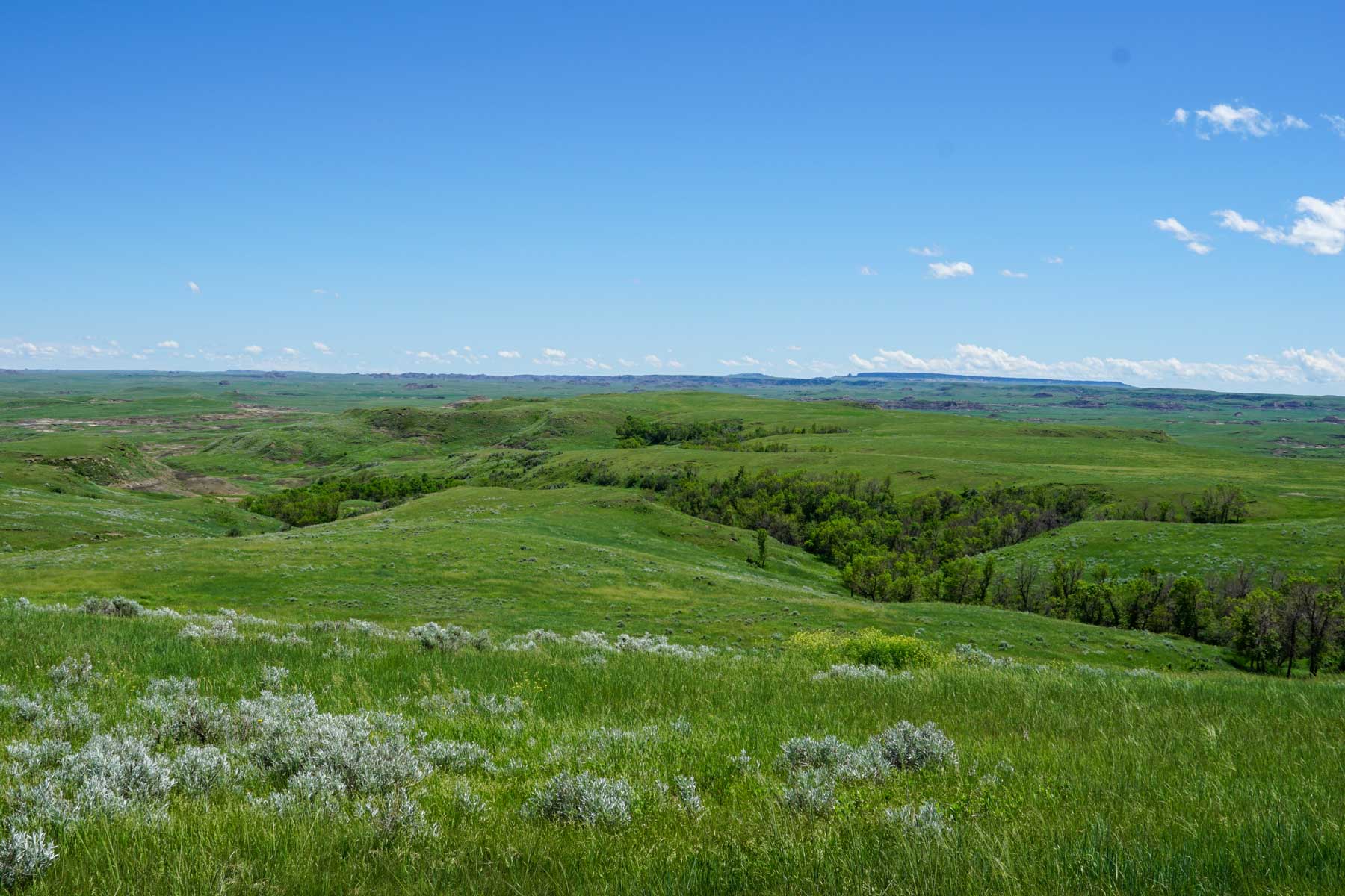 ZX Ranch property picture 57 of 82