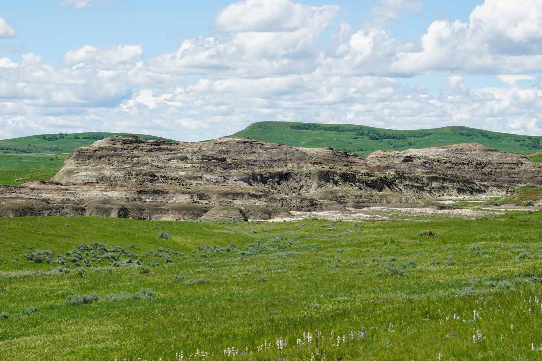 ZX Ranch property picture 43 of 82