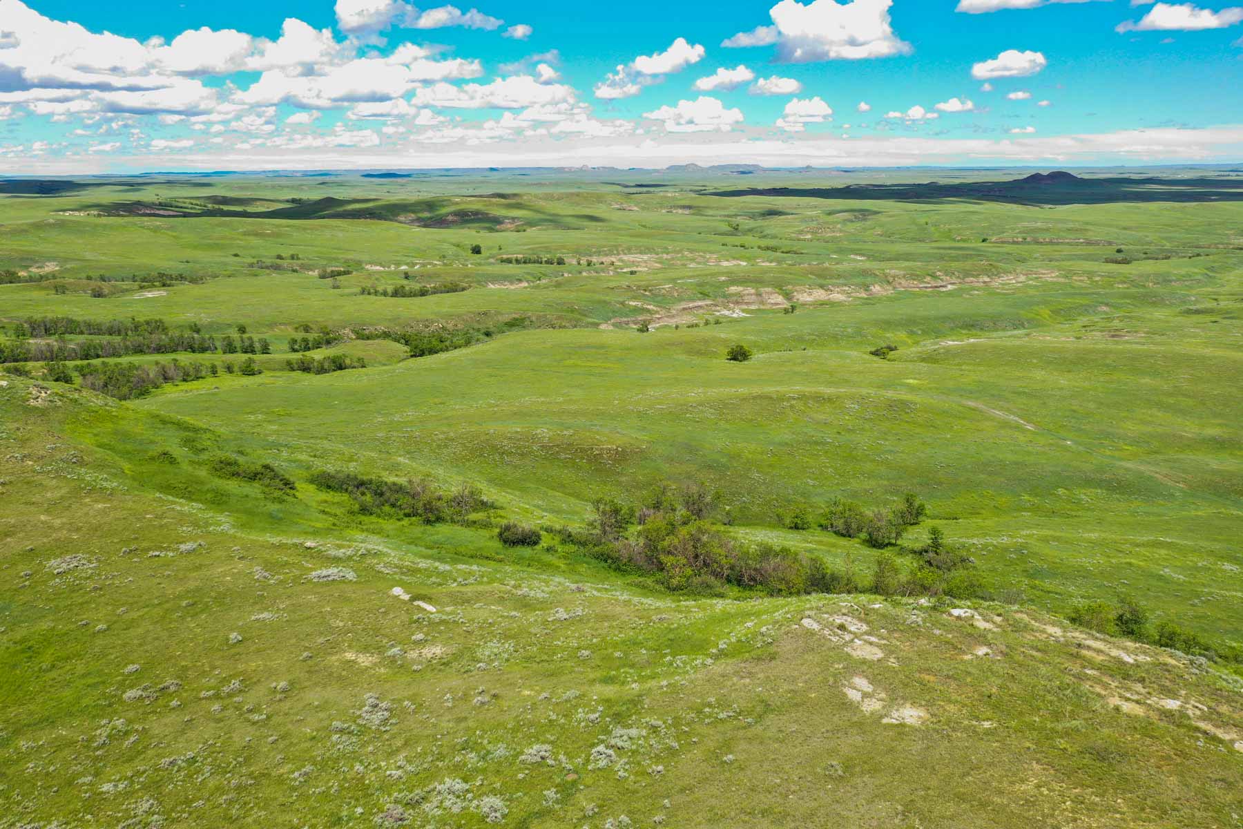 ZX Ranch property picture 73 of 82