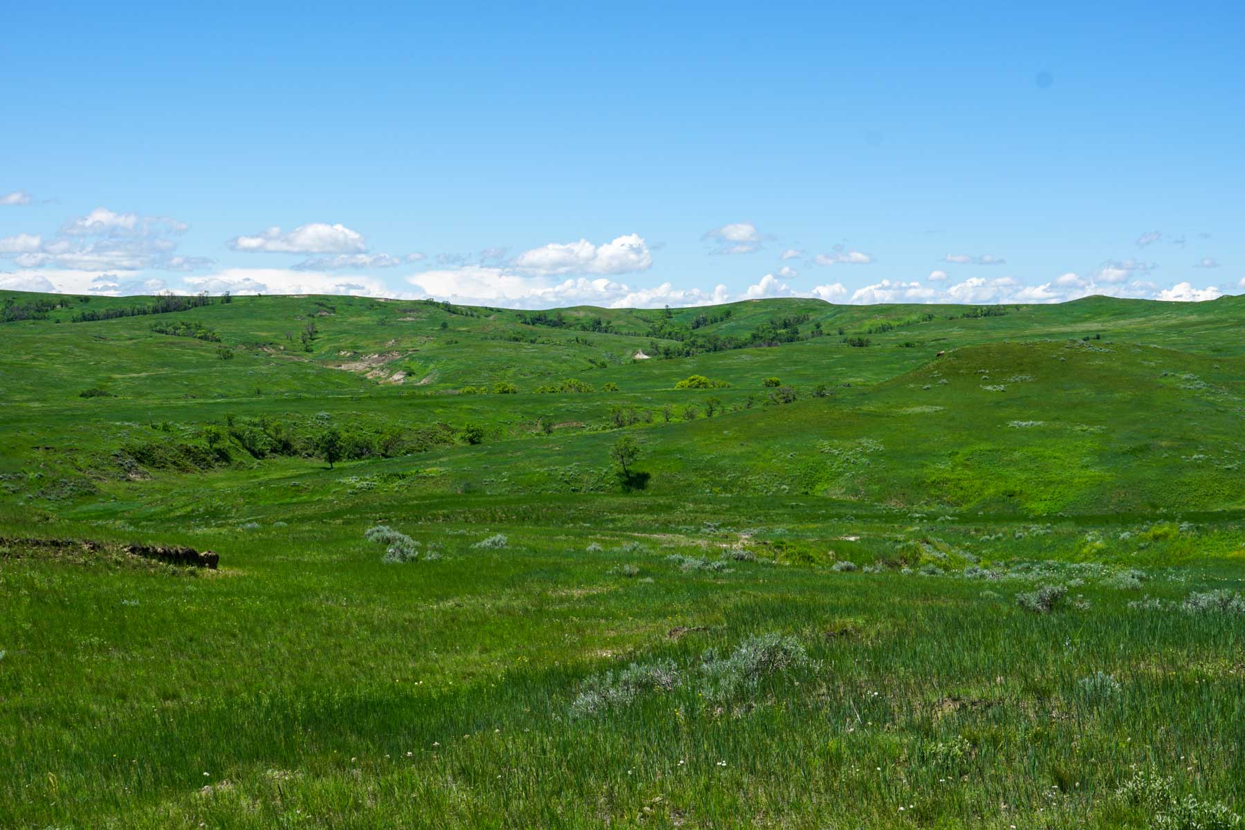 ZX Ranch property picture 36 of 82