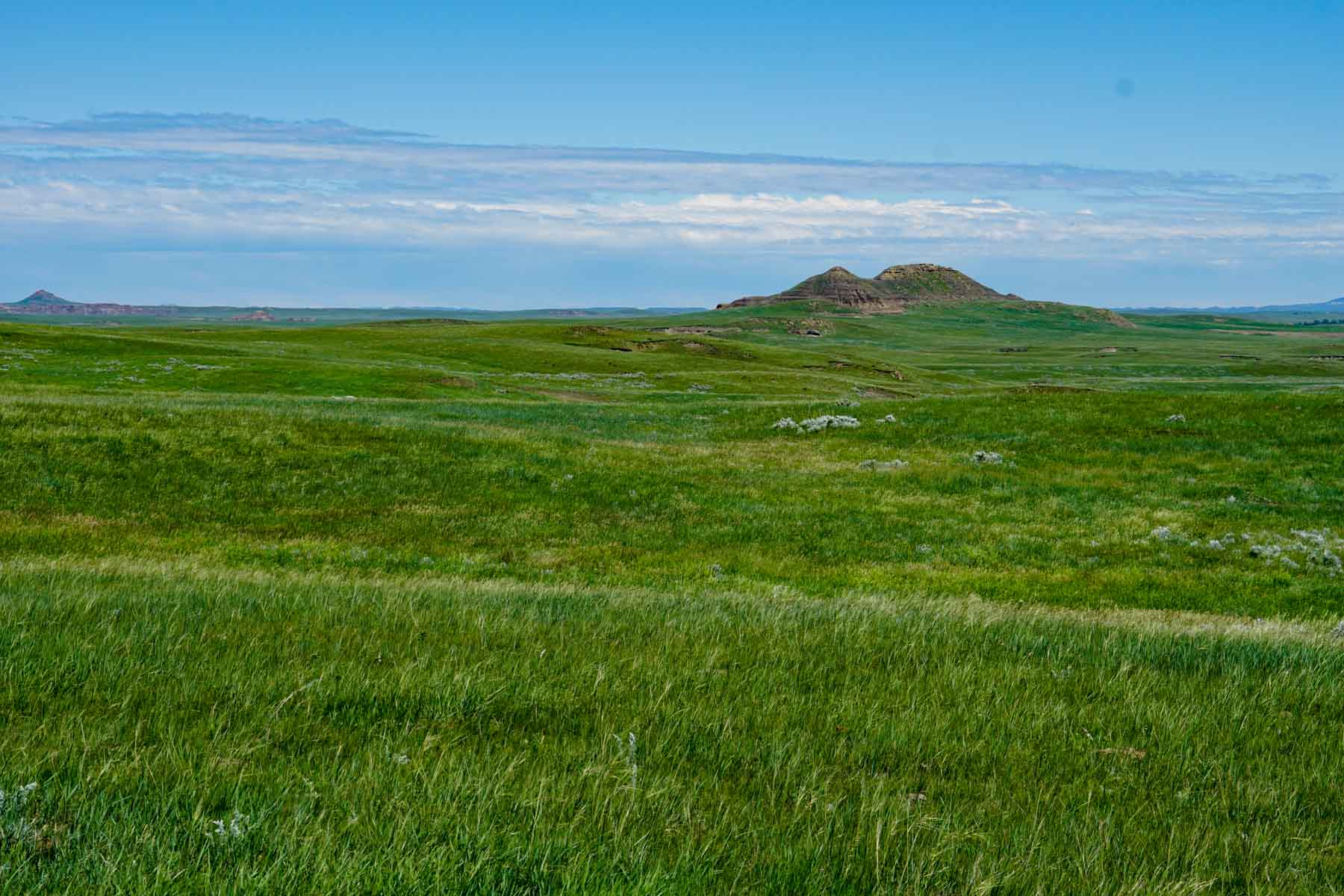 ZX Ranch property picture 38 of 82