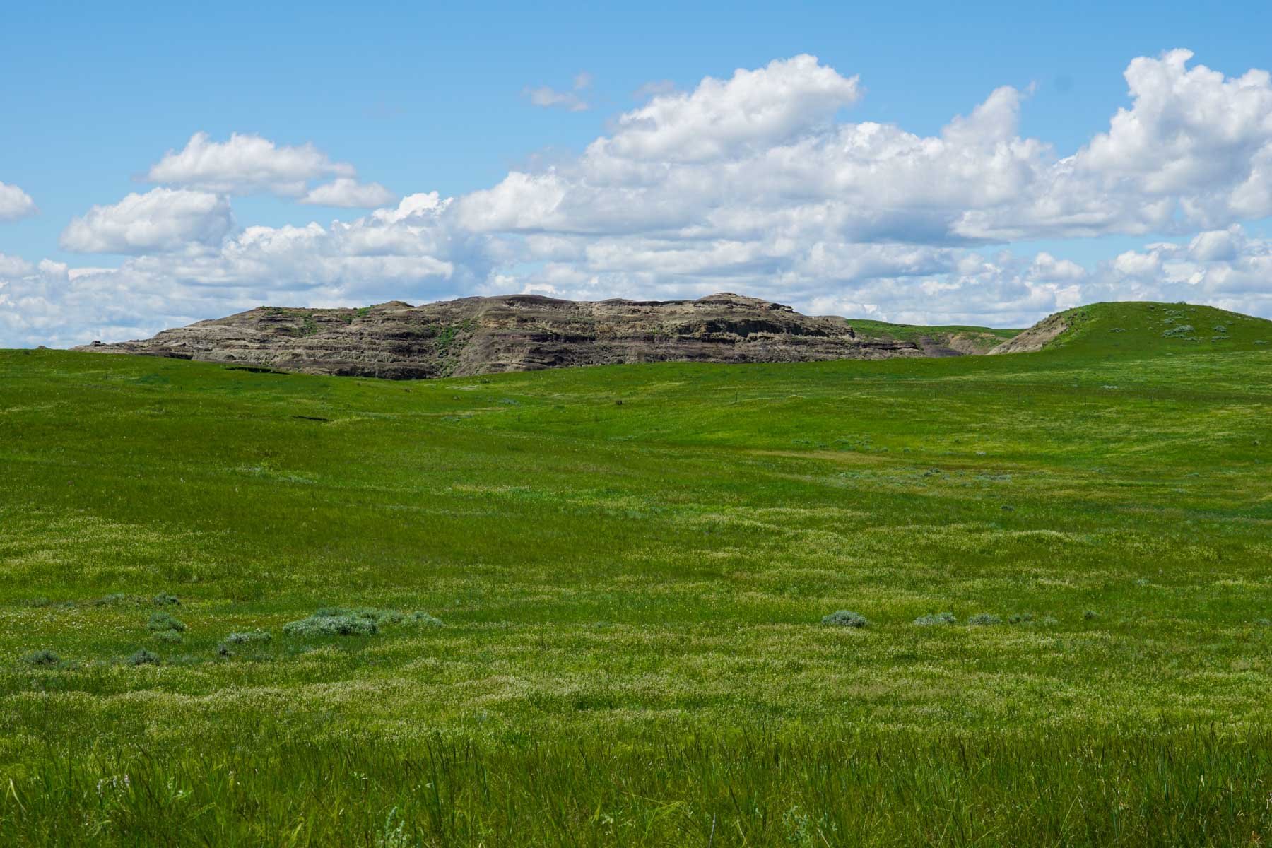 ZX Ranch property picture 45 of 82