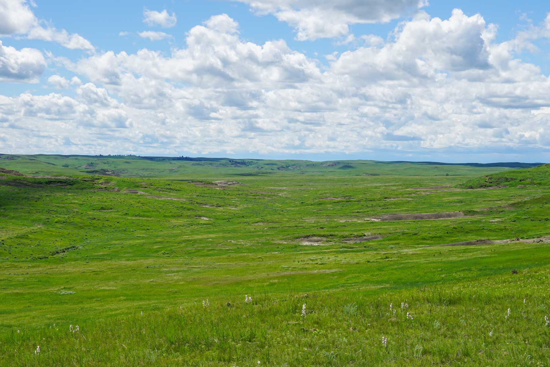 ZX Ranch property picture 77 of 82