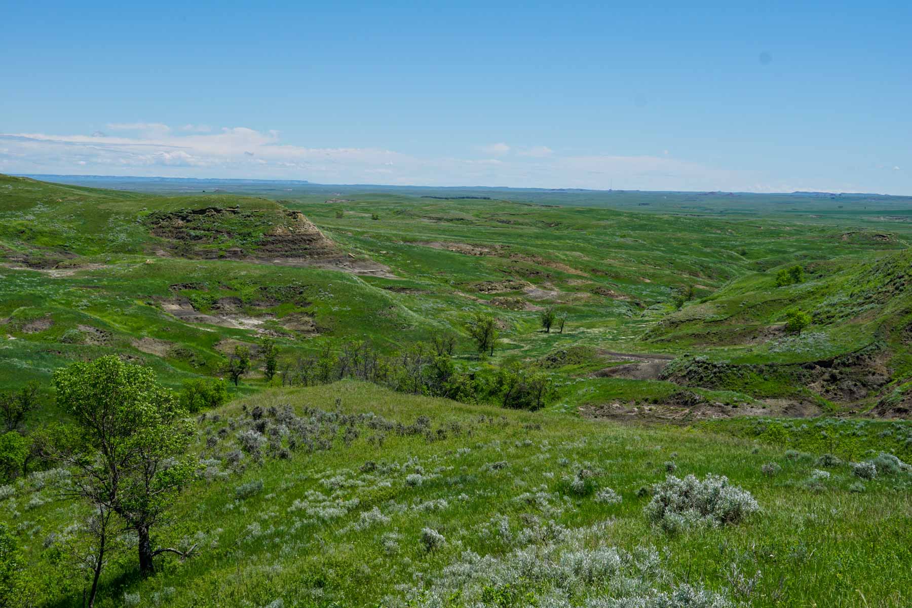 ZX Ranch property picture 28 of 82