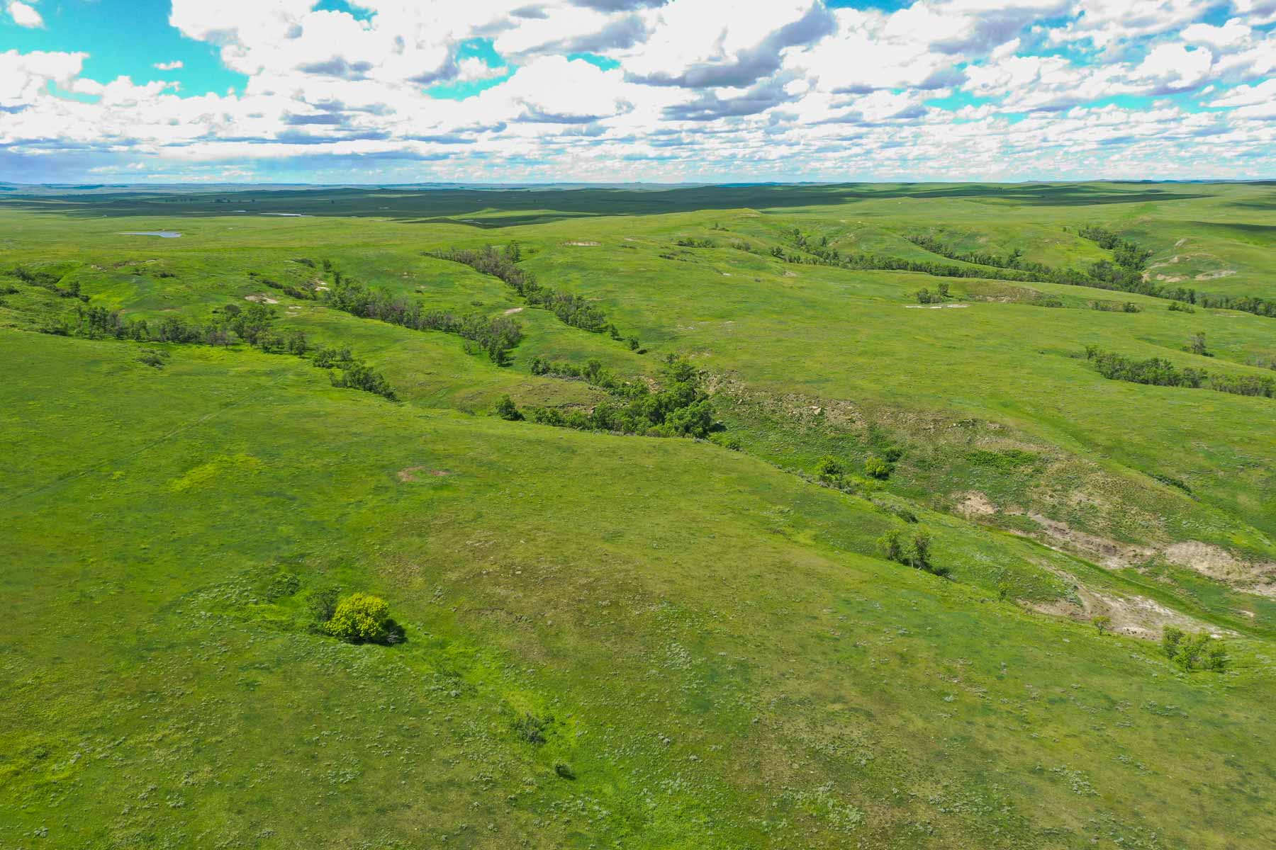 ZX Ranch property picture 68 of 82