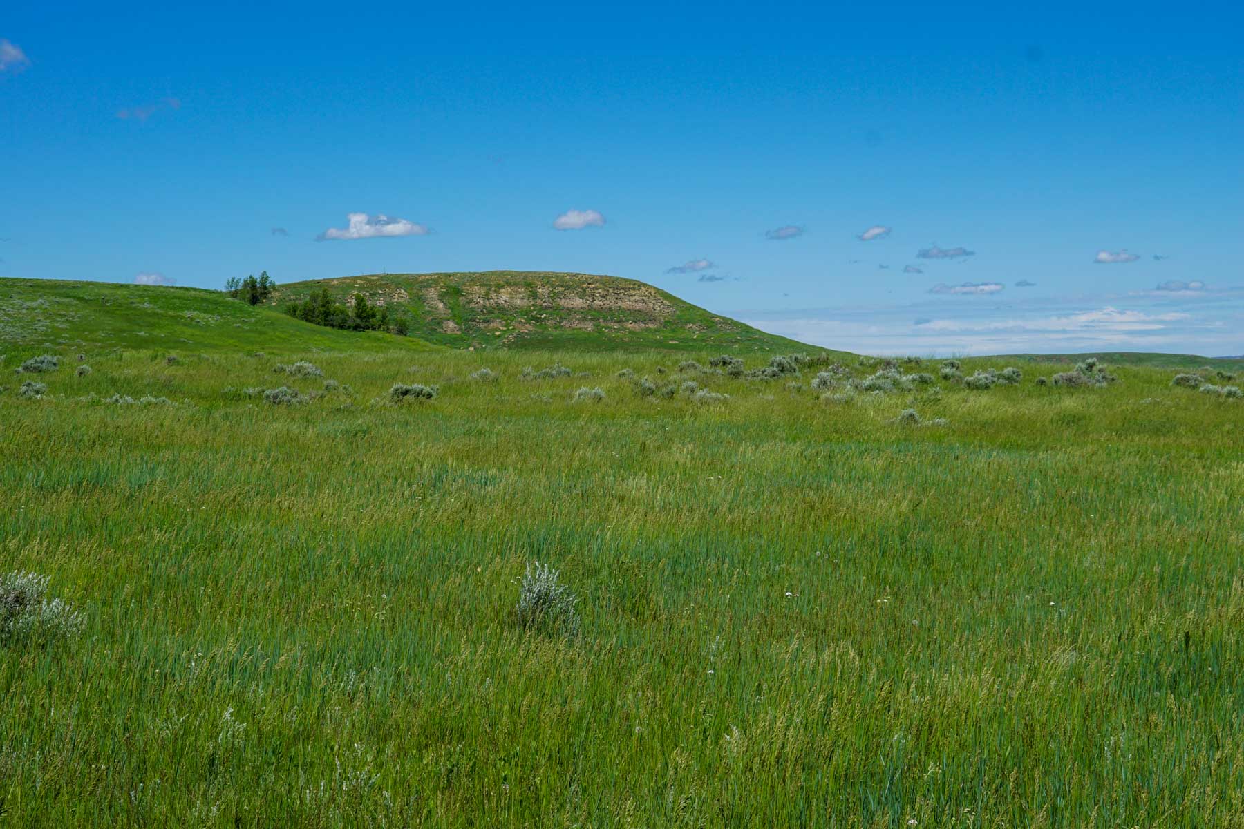 ZX Ranch property picture 62 of 82