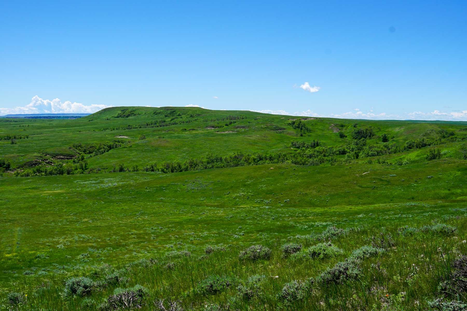 ZX Ranch property picture 25 of 82