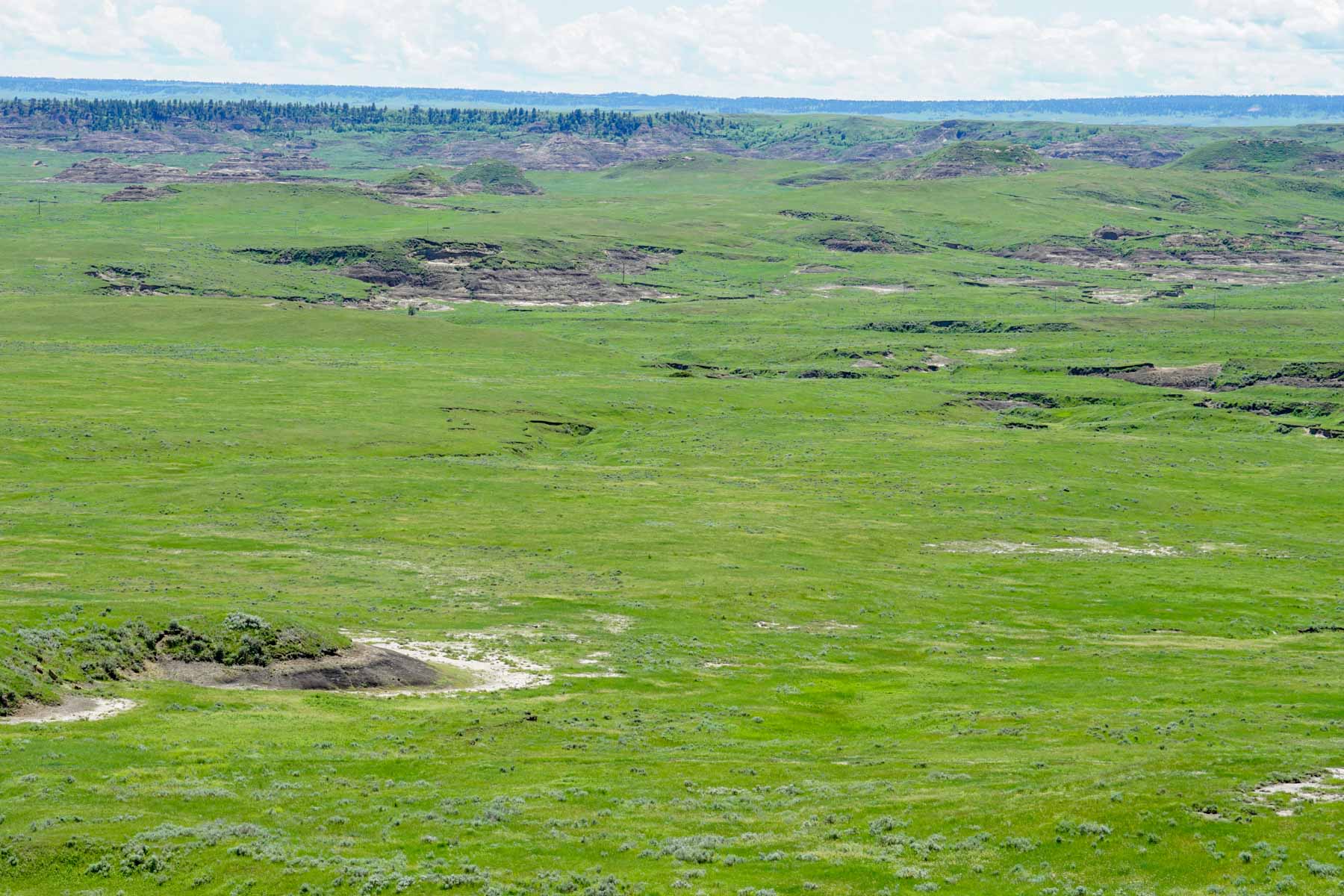 ZX Ranch property picture 65 of 82