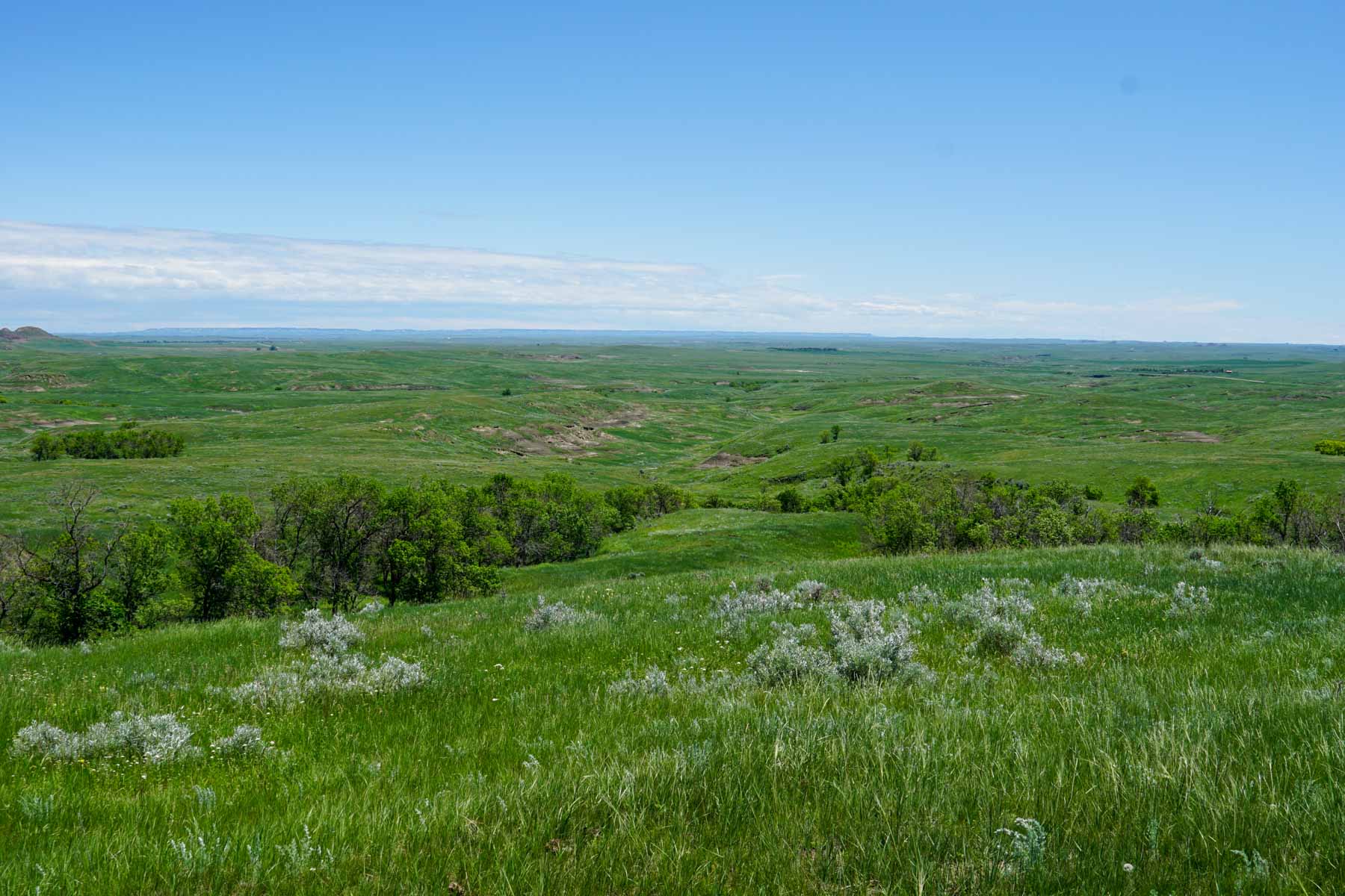 ZX Ranch property picture 6 of 82