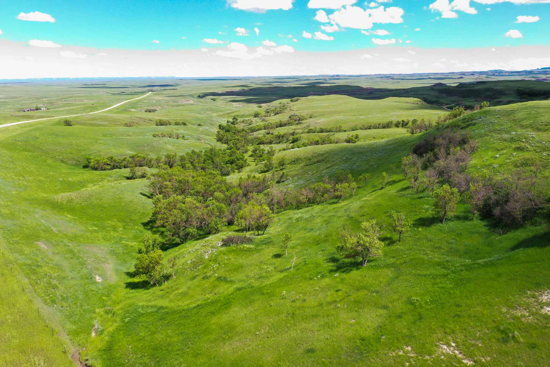 ZX Ranch property picture 74 of 82