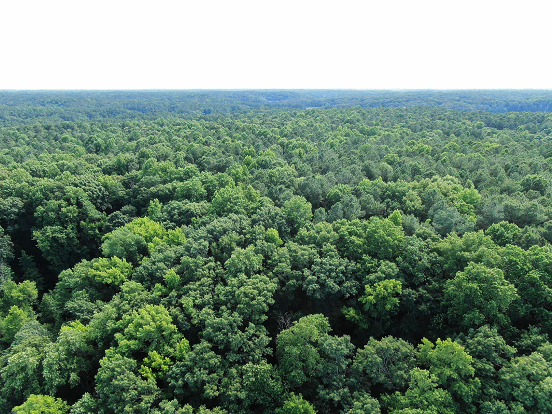 Stonehouse Preserve property picture 14 of 24