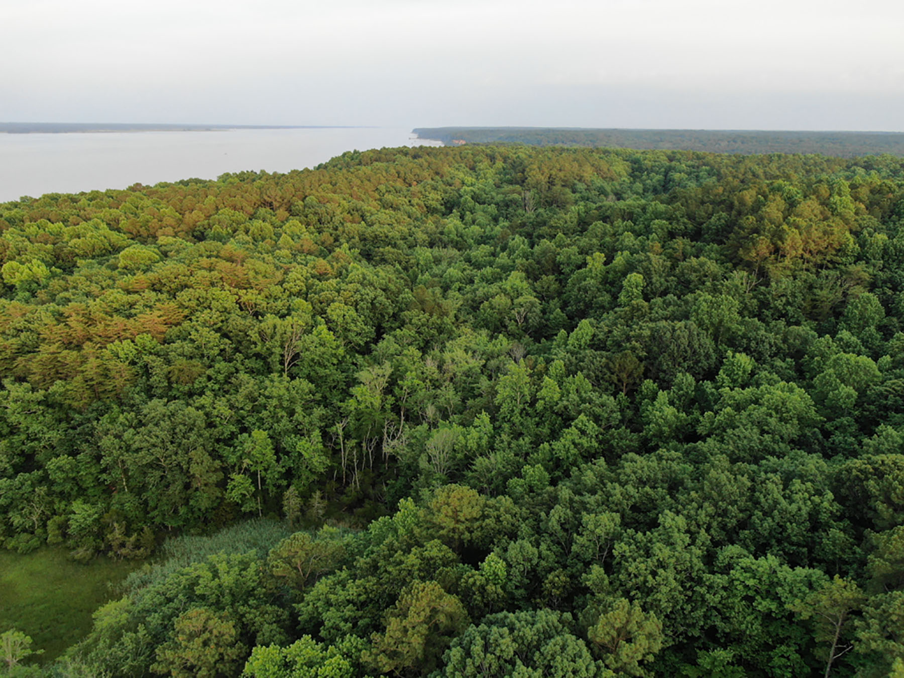 Stonehouse Preserve property picture 21 of 24