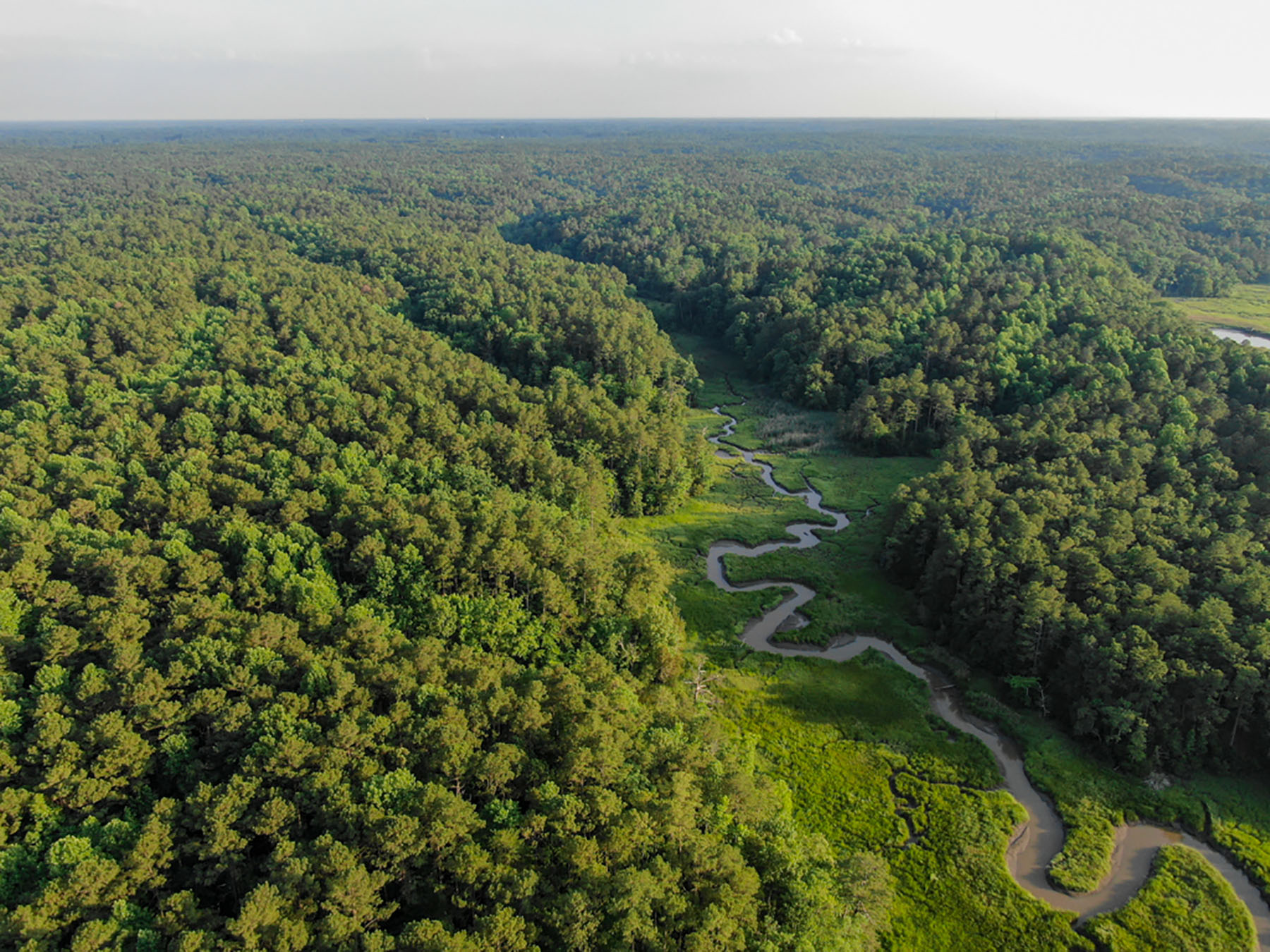 Stonehouse Preserve property picture 8 of 24