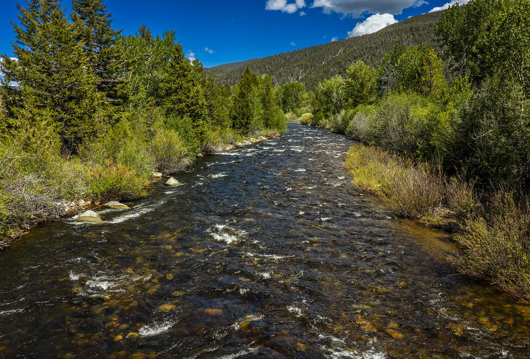 Adson Creek Ranch on Wise River property picture 46 of 58