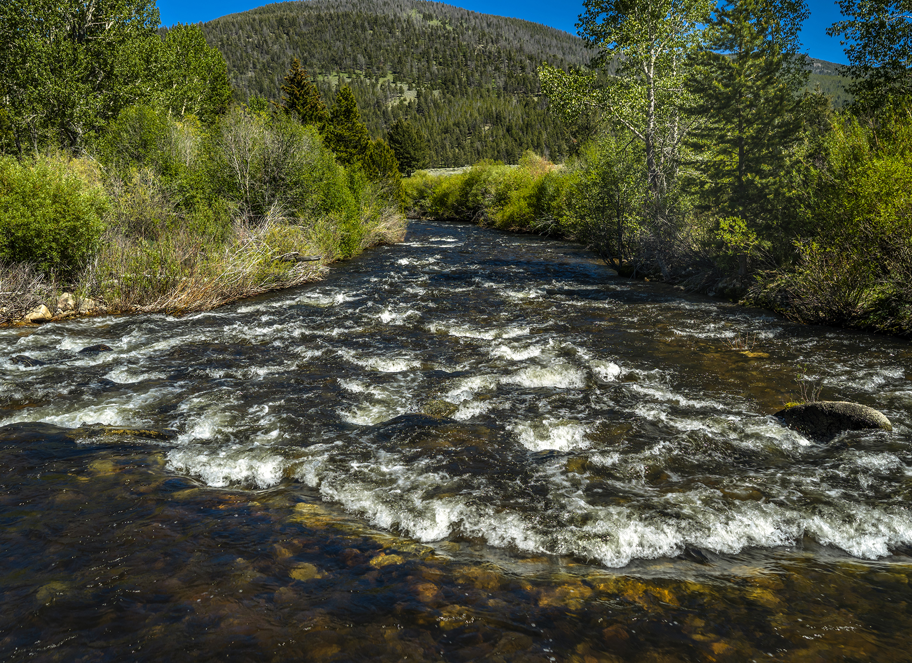 Adson Creek Ranch on Wise River property picture 9 of 58