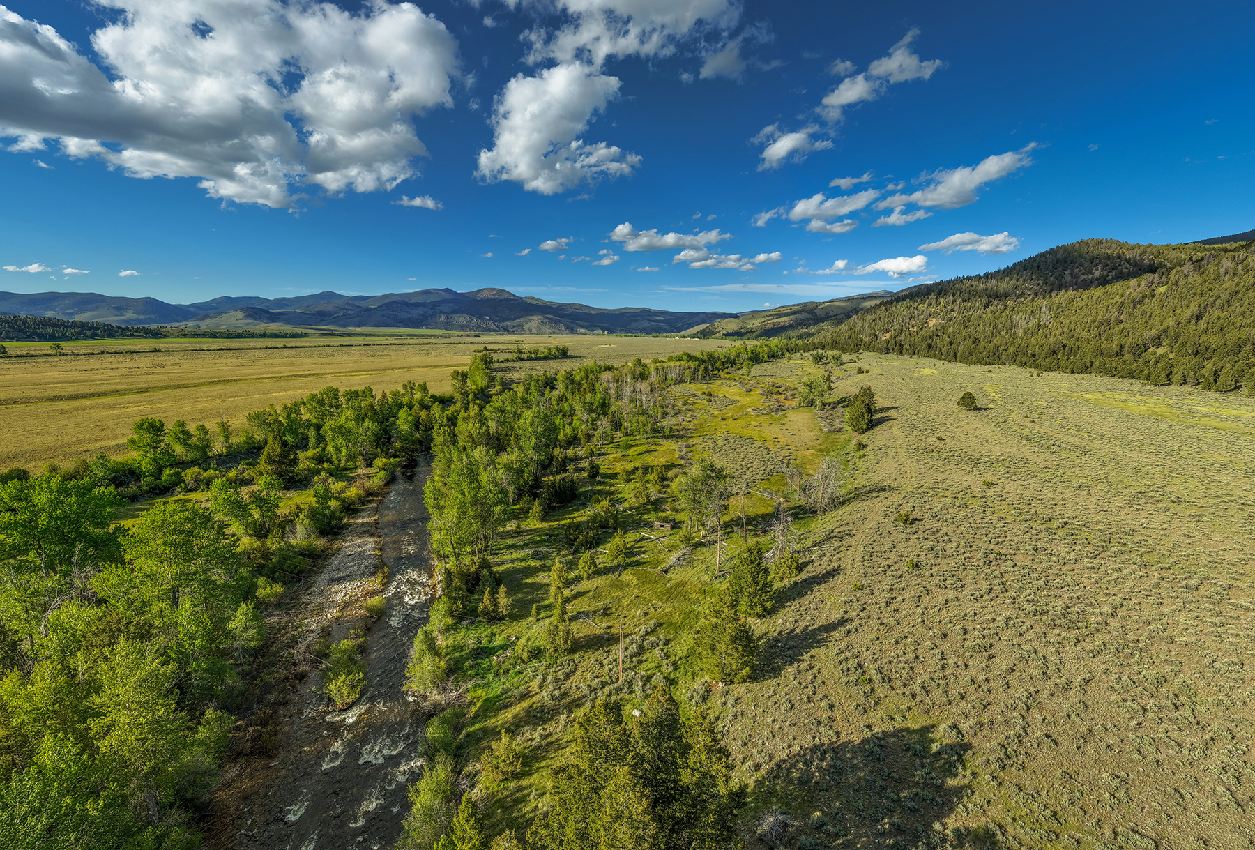 Adson Creek Ranch on Wise River property picture 2 of 58