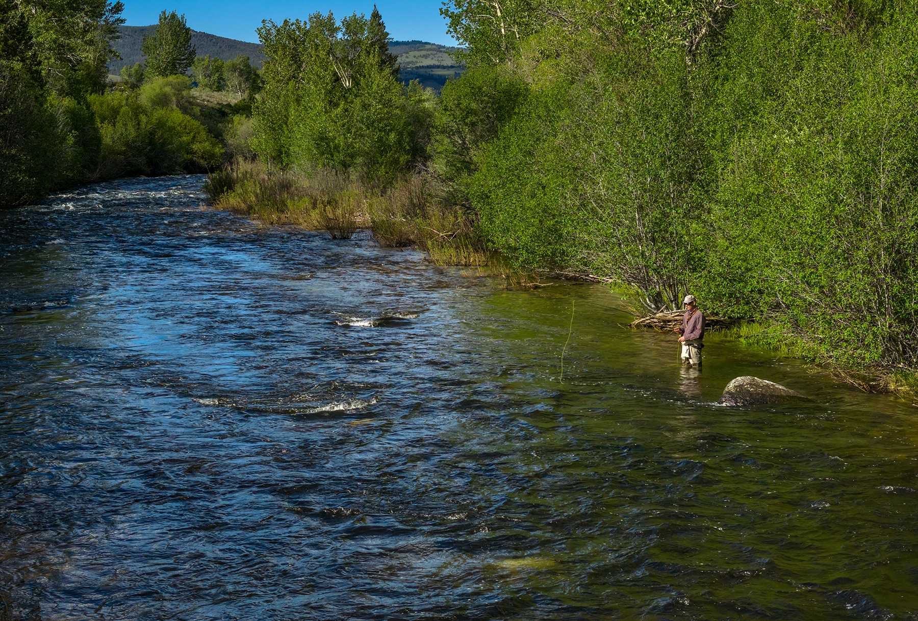 Adson Creek Ranch on Wise River property picture 10 of 58