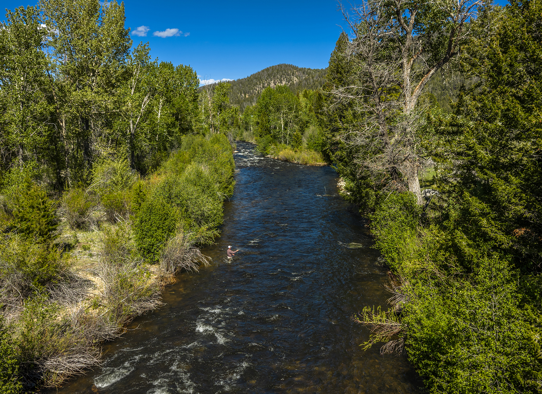 Adson Creek Ranch on Wise River property picture 6 of 58