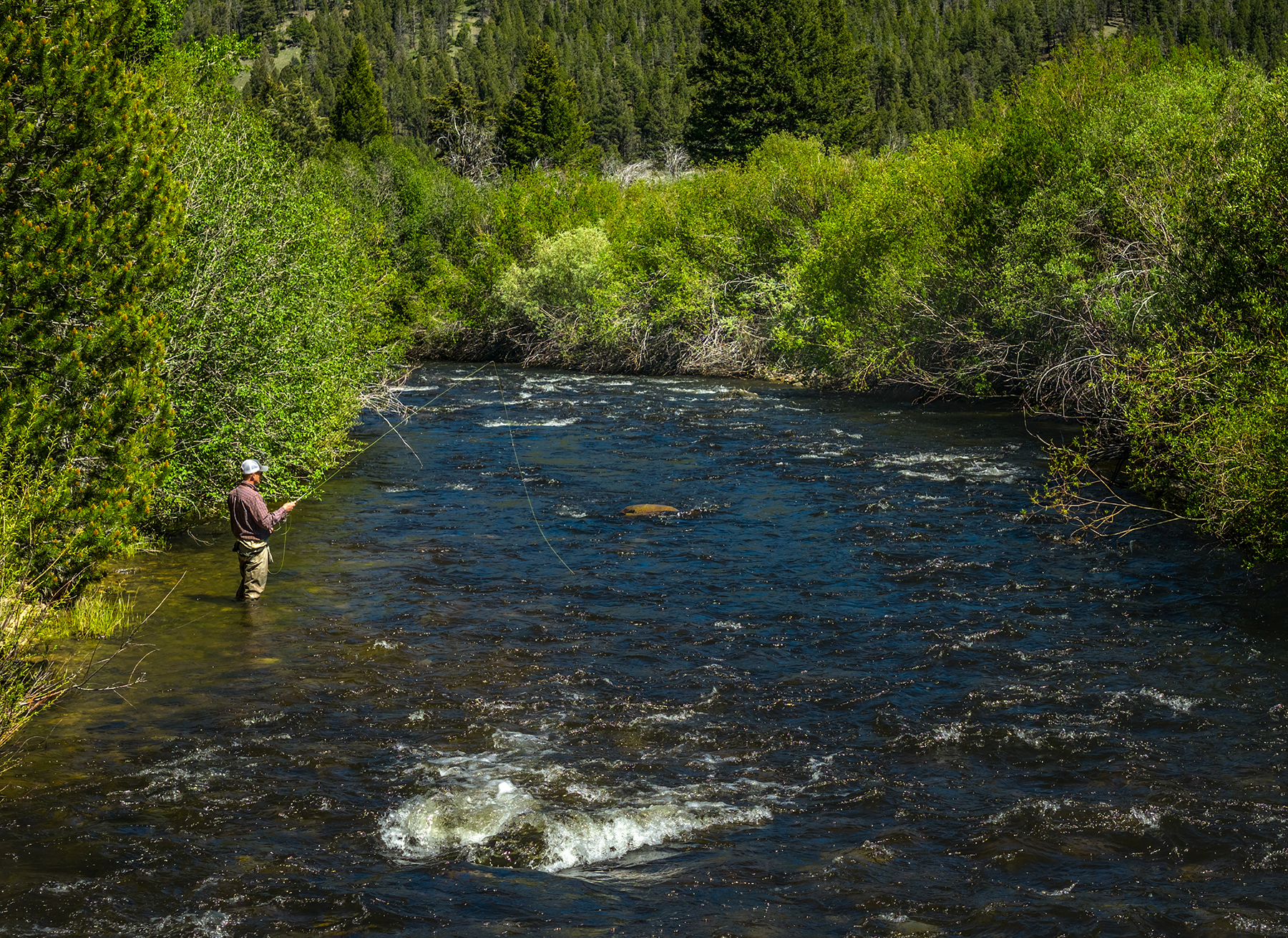 Adson Creek Ranch on Wise River property picture 45 of 58