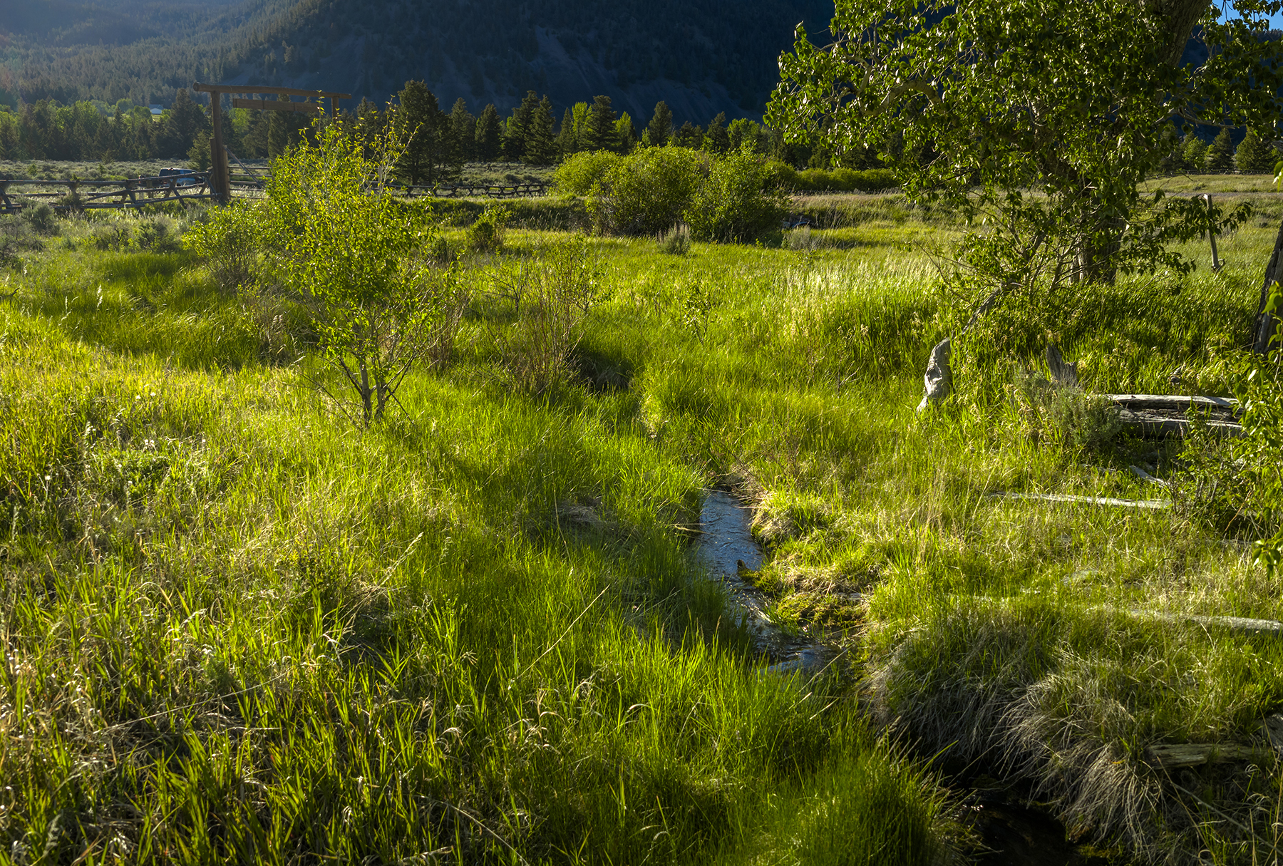 Adson Creek Ranch on Wise River property picture 55 of 58