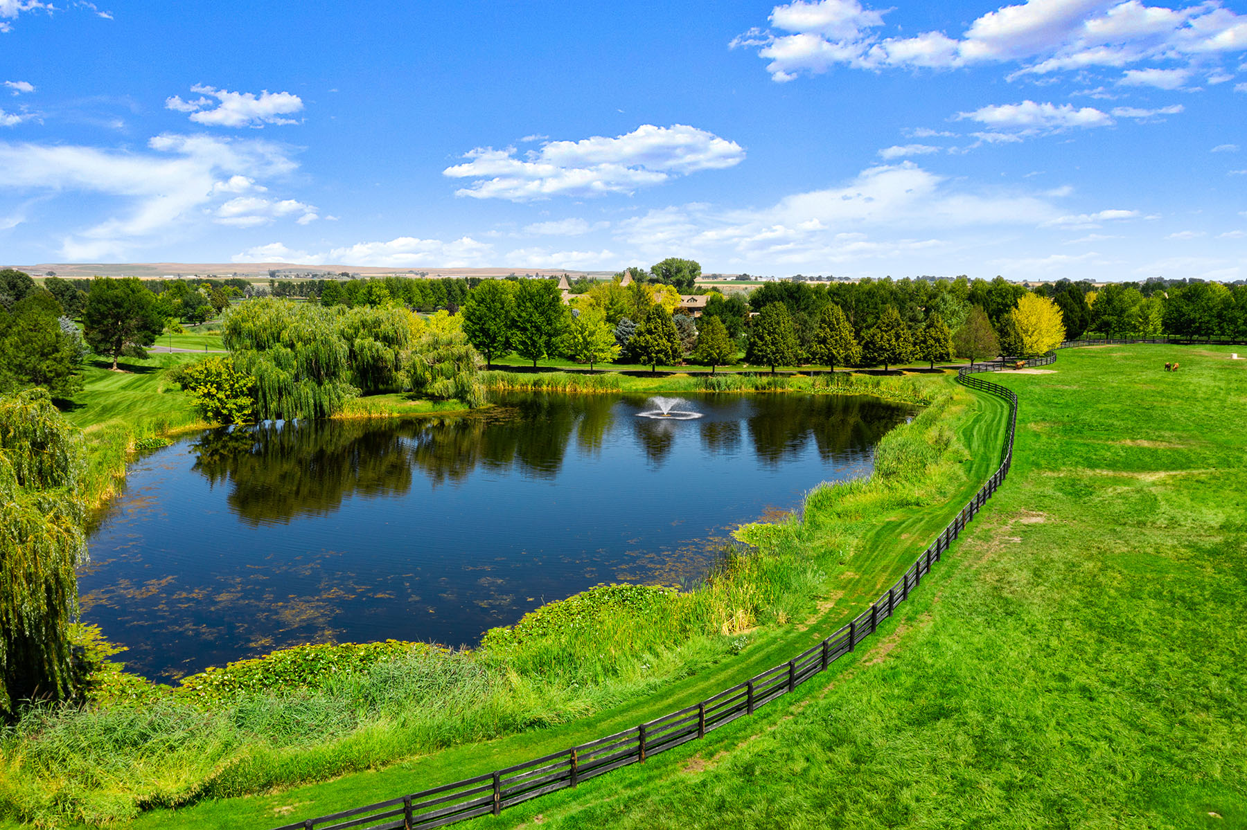 Parma Lodge and Stables property picture 61 of 93