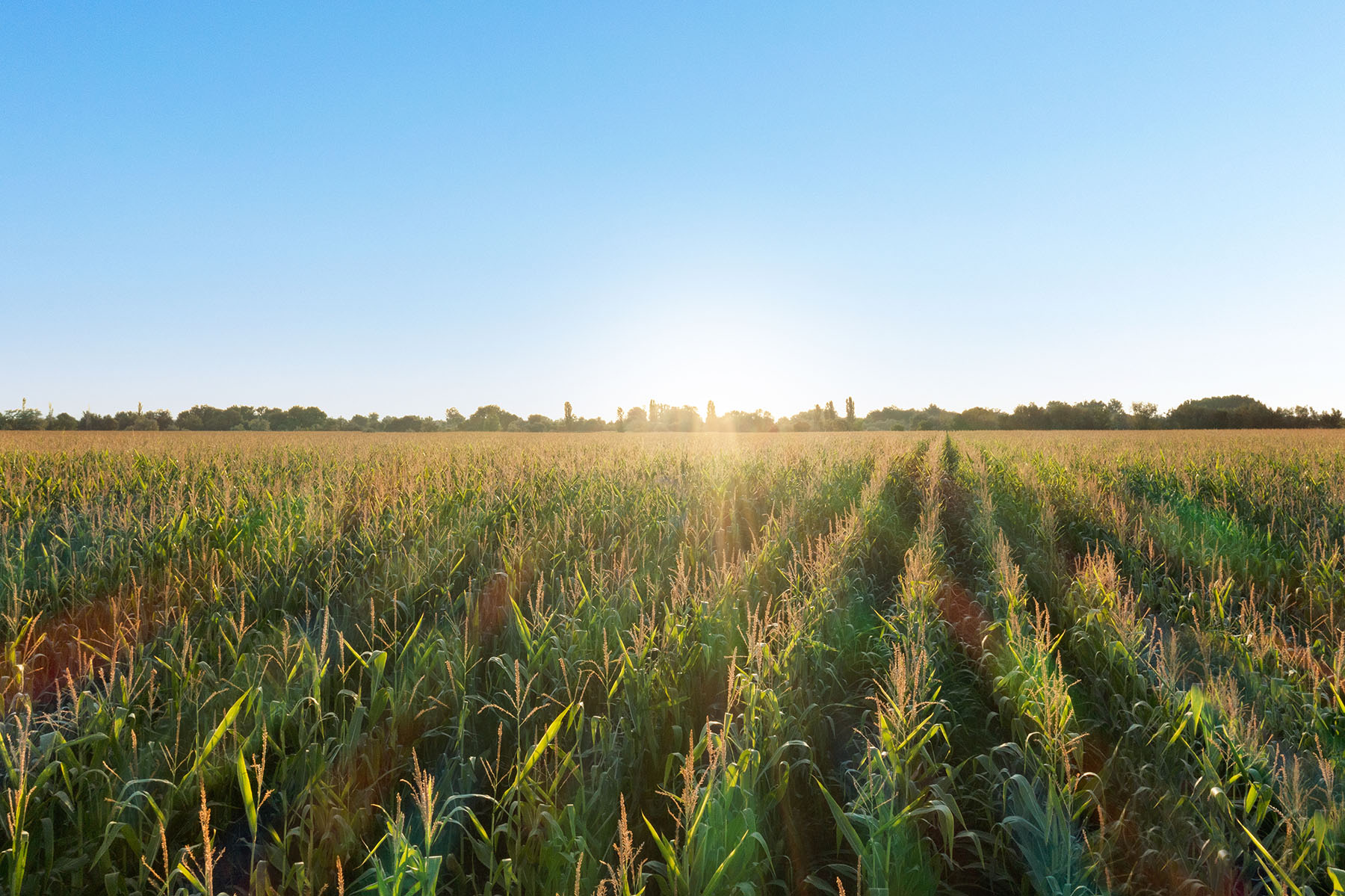 Parma Lodge and Stables property picture 63 of 93