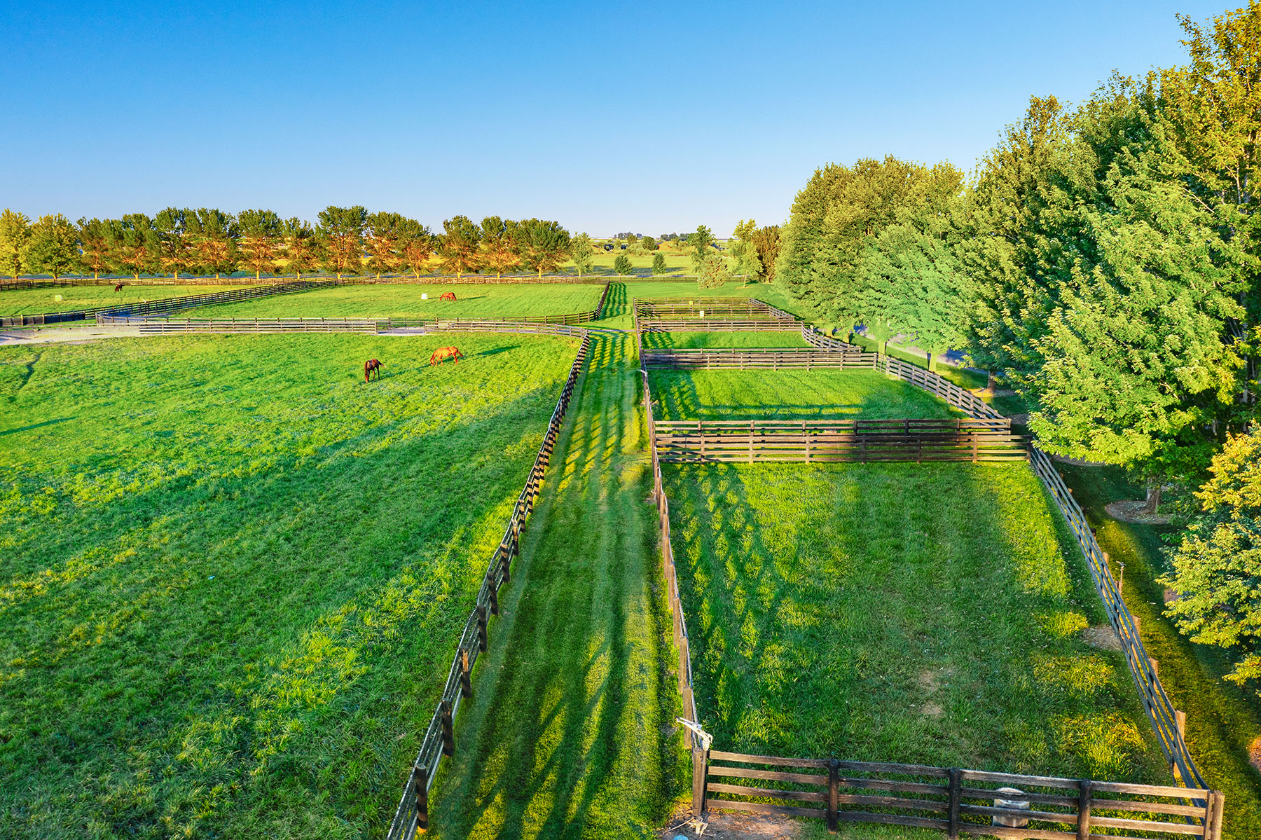 Parma Lodge and Stables property picture 15 of 93