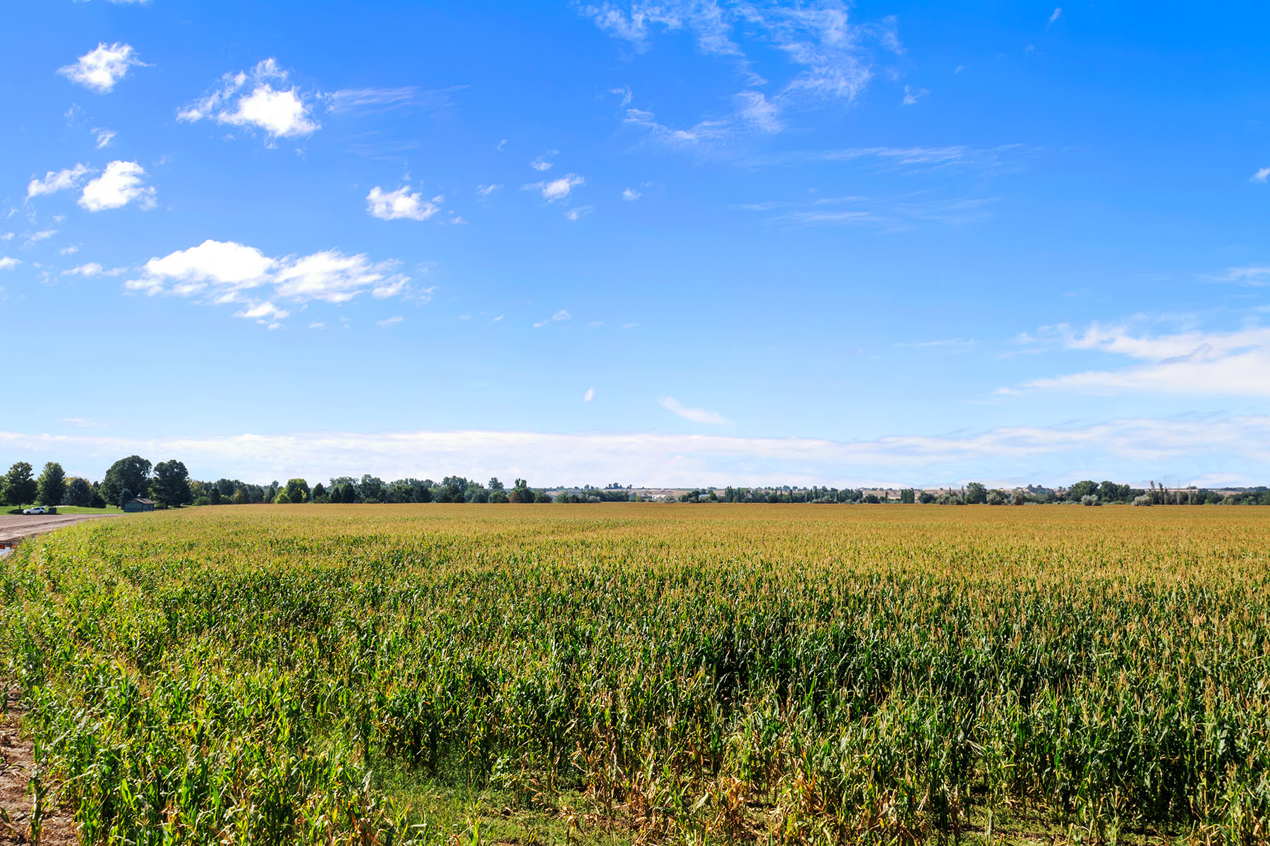 Parma Lodge and Stables property picture 58 of 93
