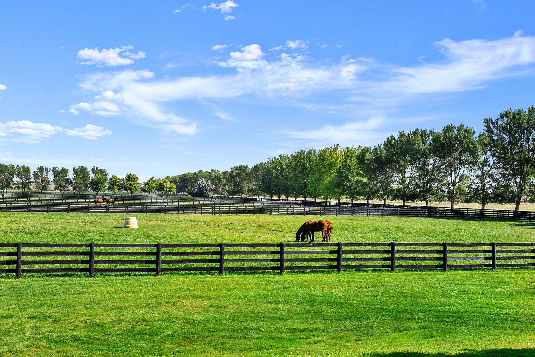 Parma Lodge and Stables property picture 84 of 93