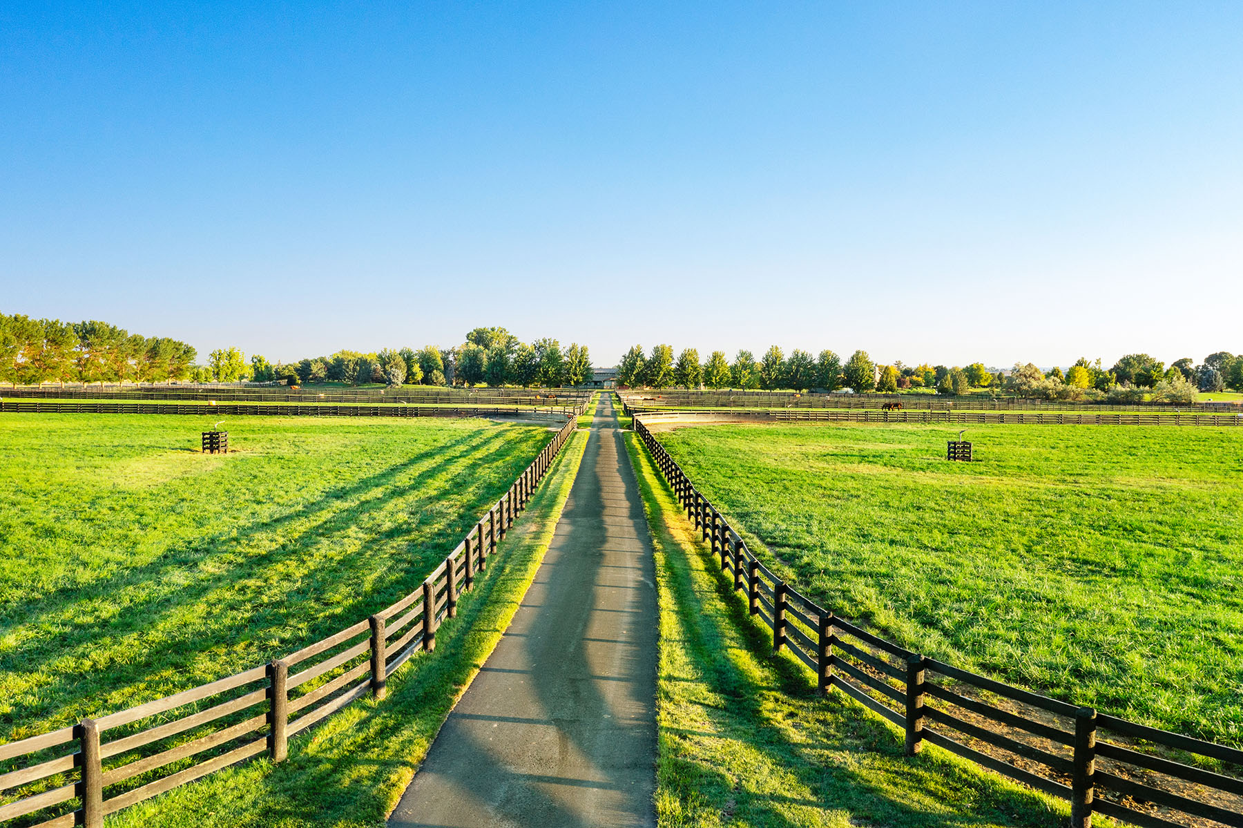 Parma Lodge and Stables property picture 13 of 93