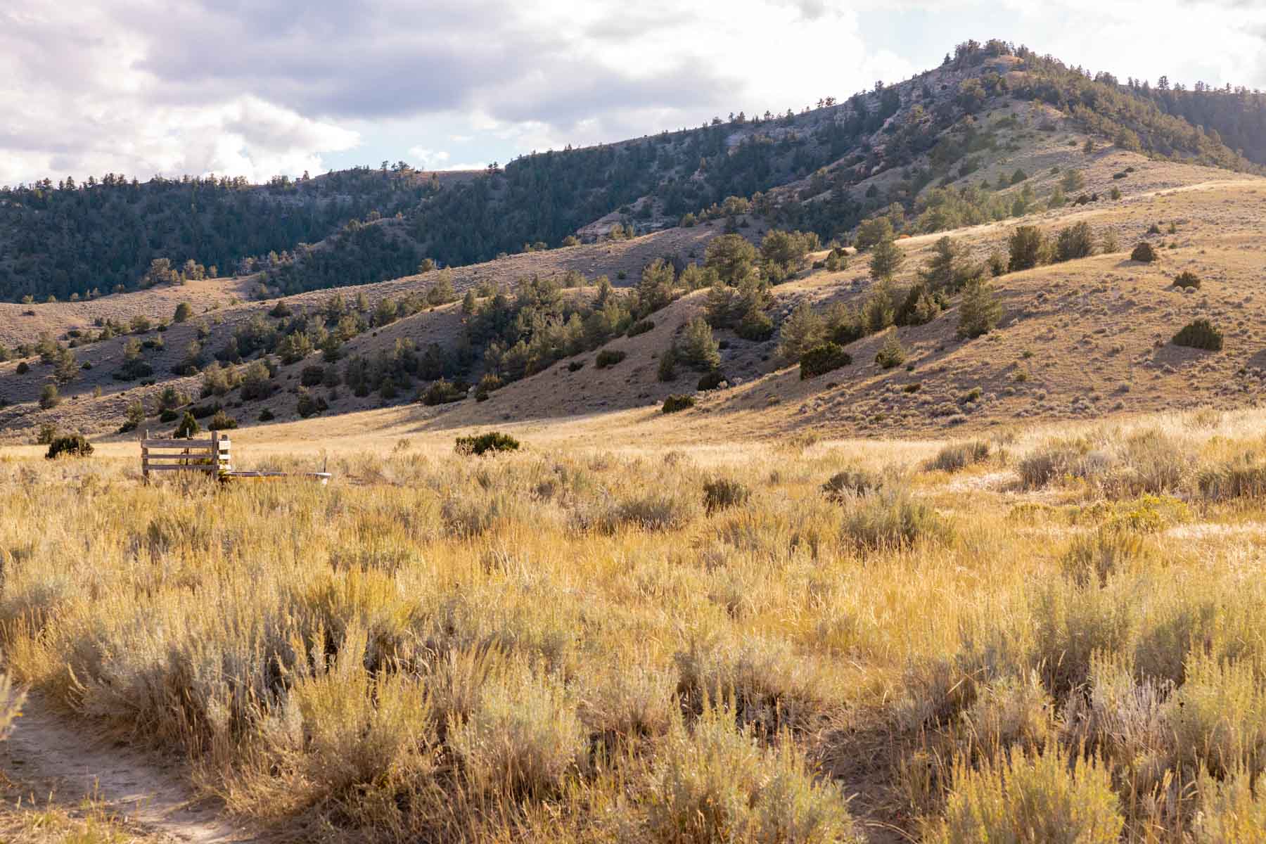 Porter Mountain Ranch property picture 31 of 47