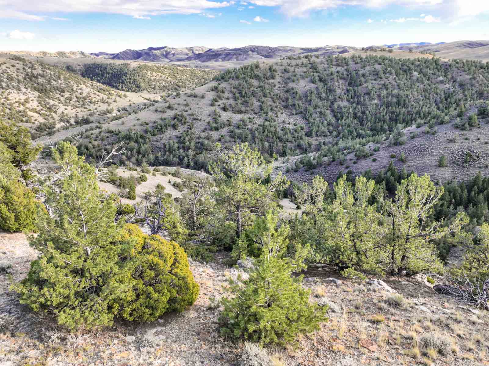 Porter Mountain Ranch property picture 47 of 47