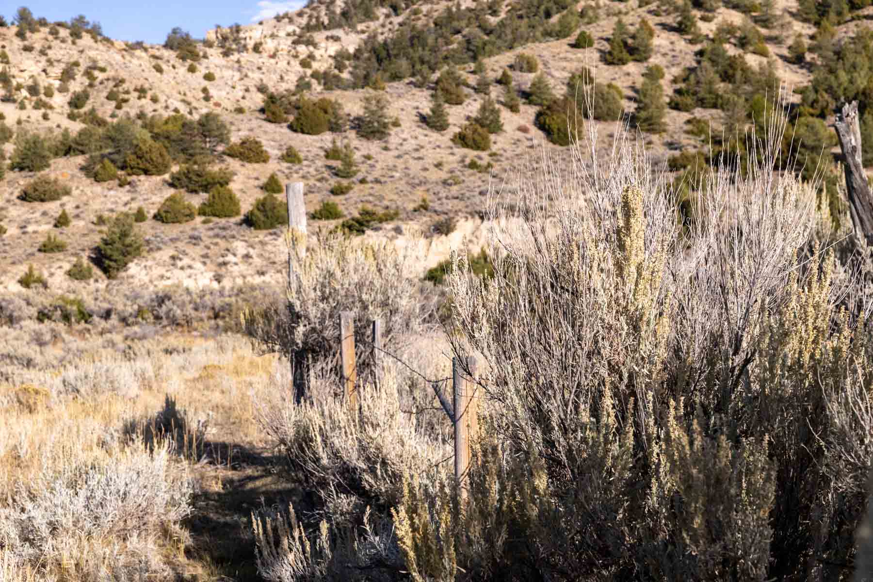 Porter Mountain Ranch property picture 38 of 47