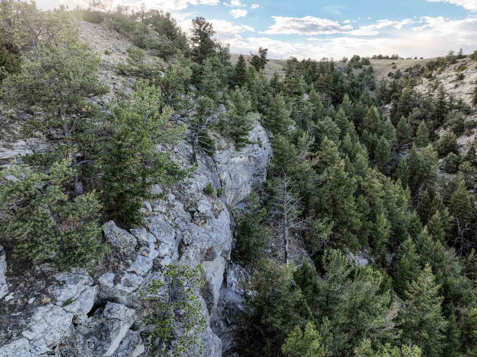 Porter Mountain Ranch property picture 7 of 47