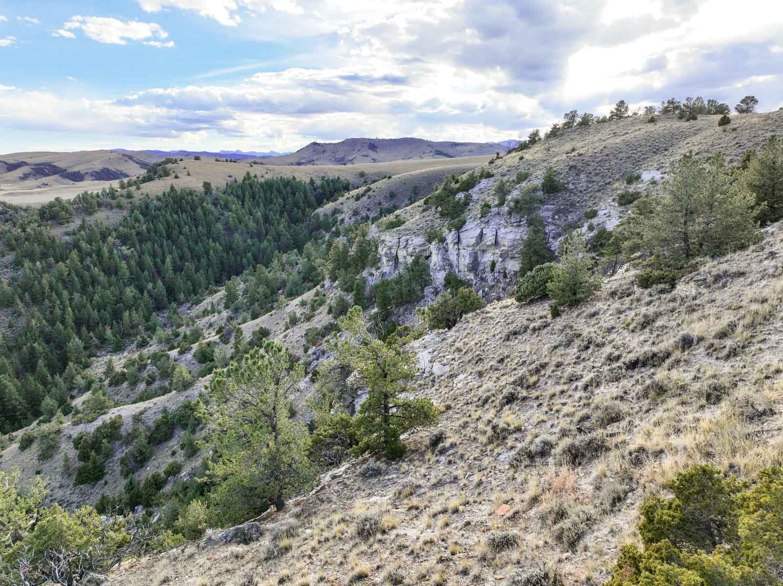 Porter Mountain Ranch property picture 5 of 47