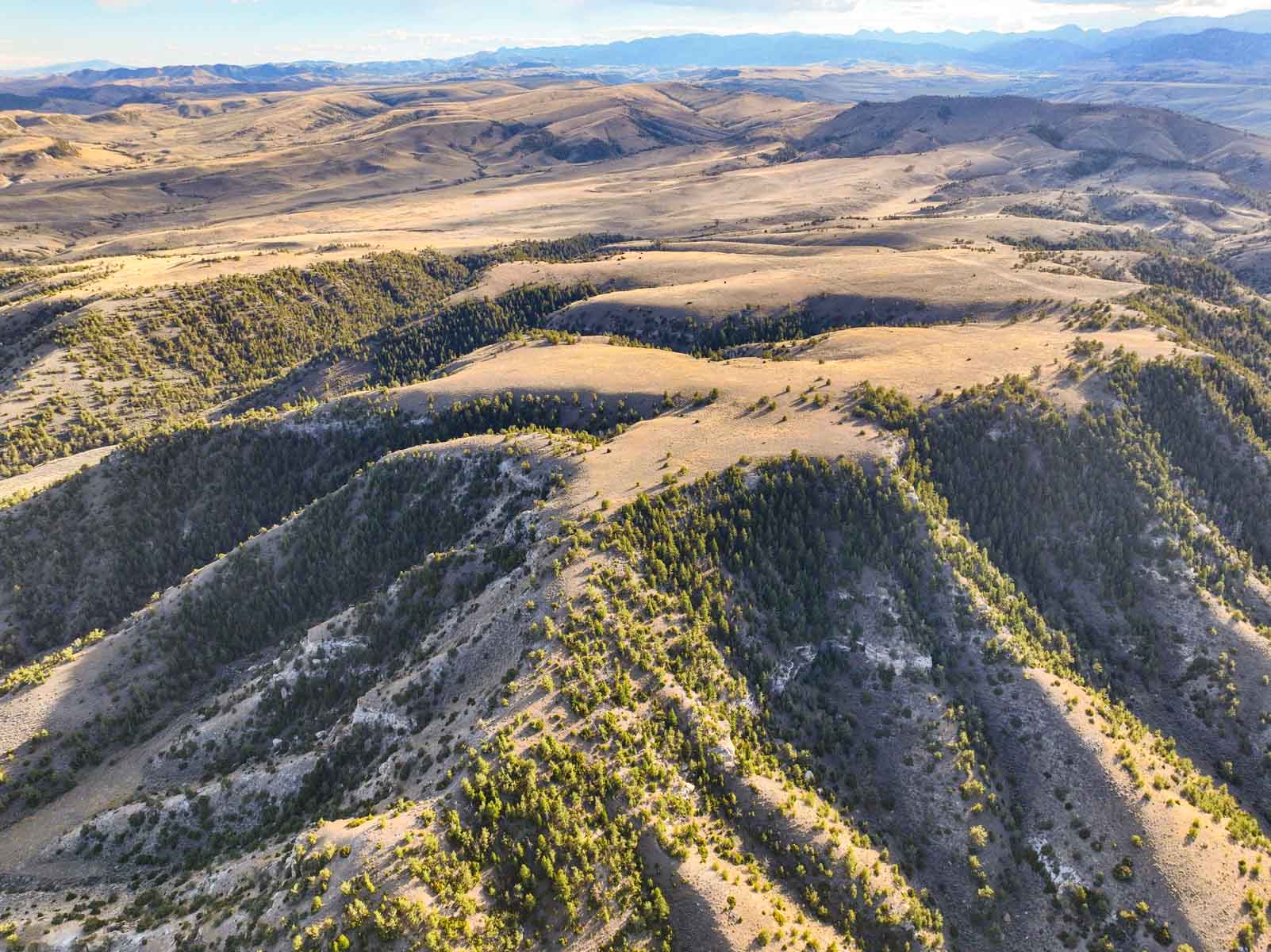 Porter Mountain Ranch property picture 4 of 47