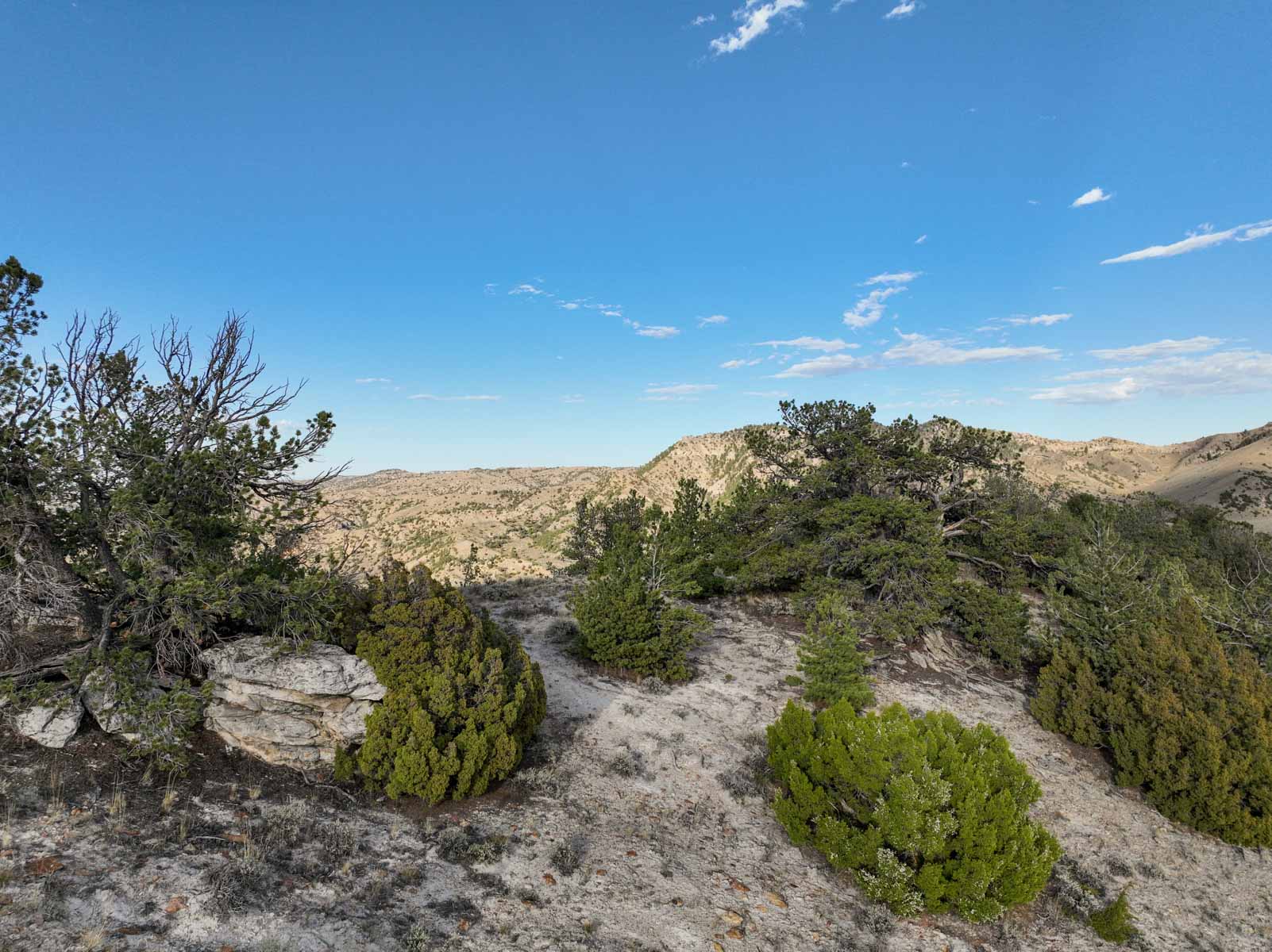 Porter Mountain Ranch property picture 33 of 47