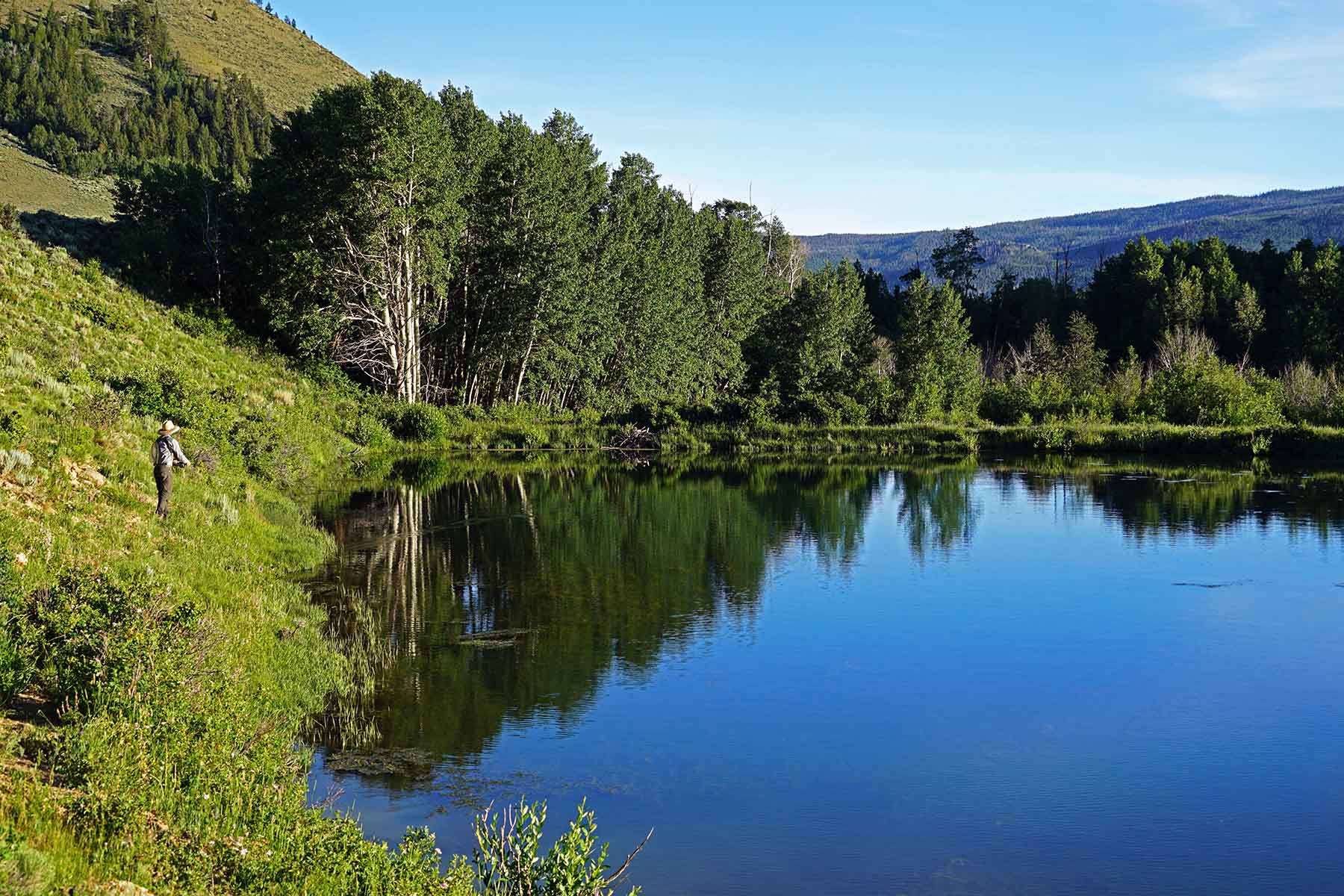 Diamond Tail Ranch property picture 61 of 119