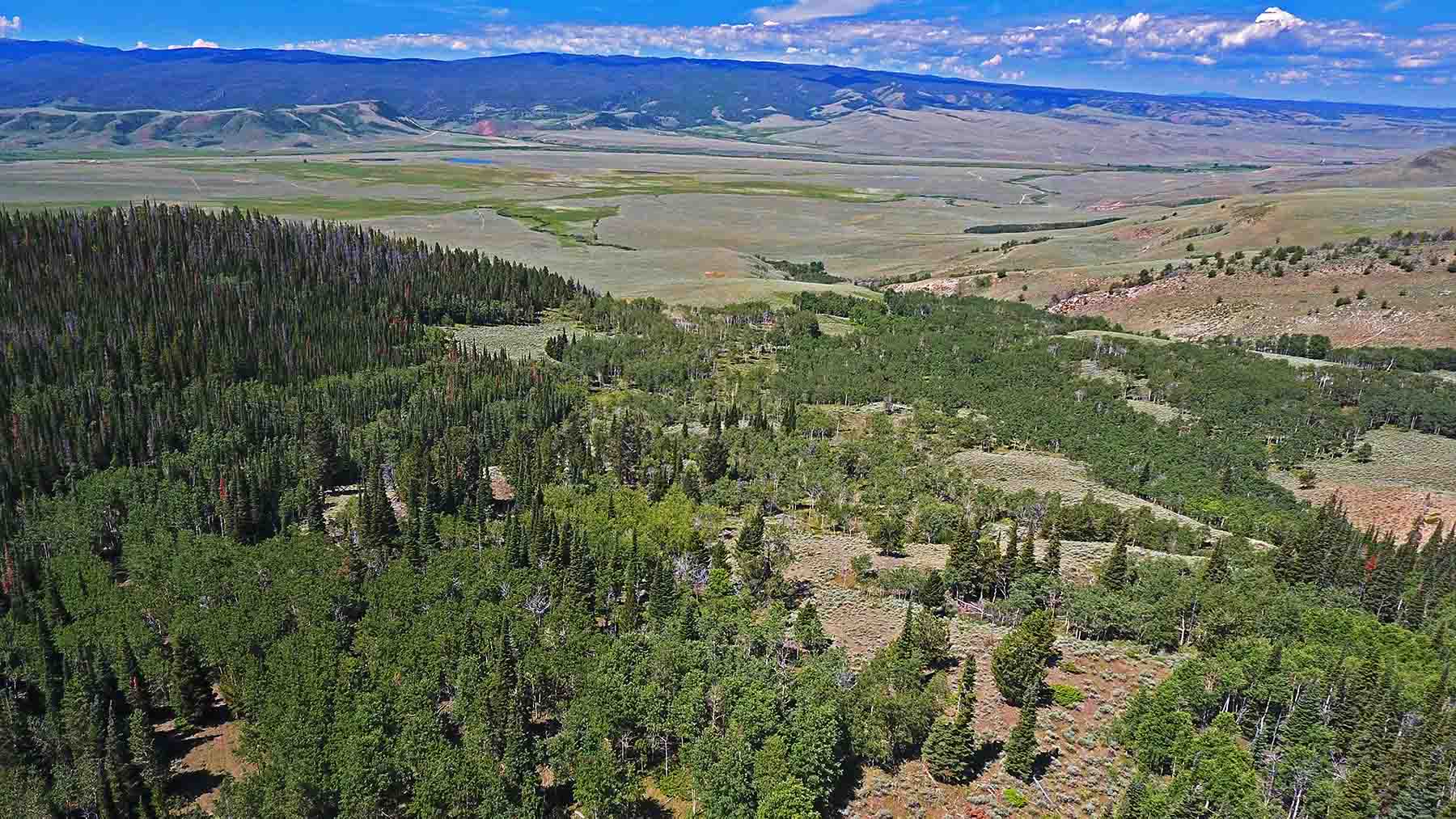 Diamond Tail Ranch property picture 38 of 119