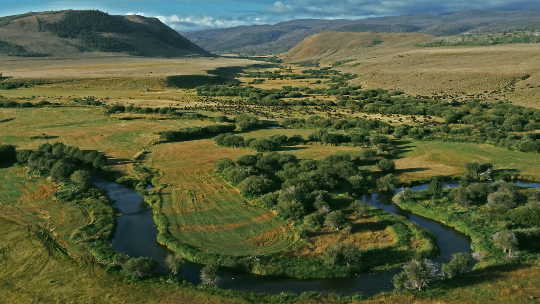 Diamond Tail Ranch property picture 37 of 119