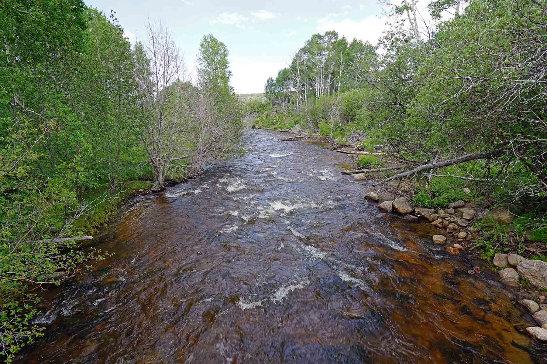 Diamond Tail Ranch property picture 58 of 119