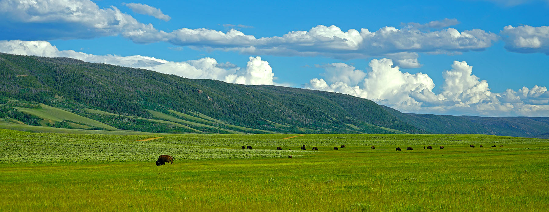Diamond Tail Ranch property picture 85 of 119