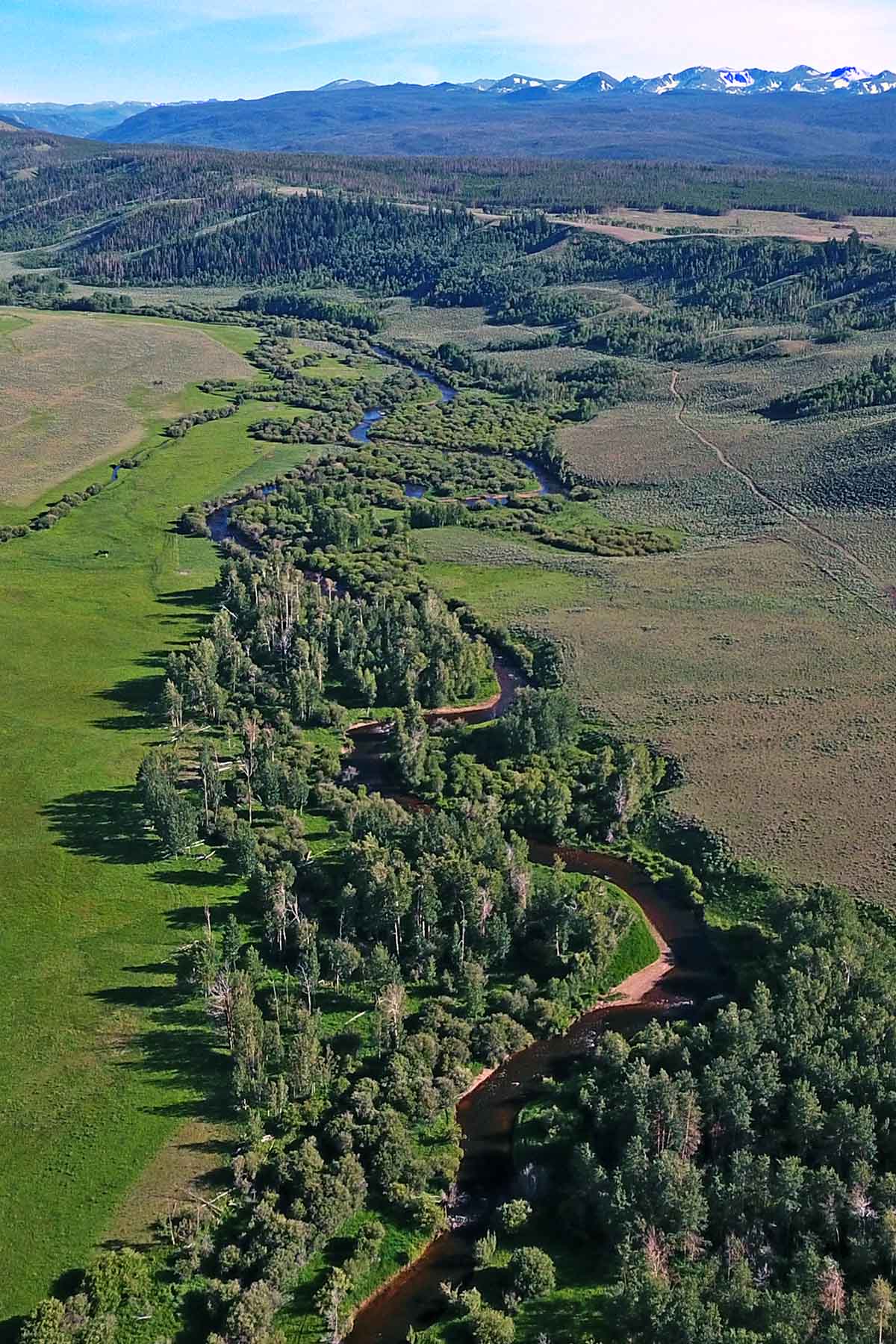 Diamond Tail Ranch property picture 20 of 119