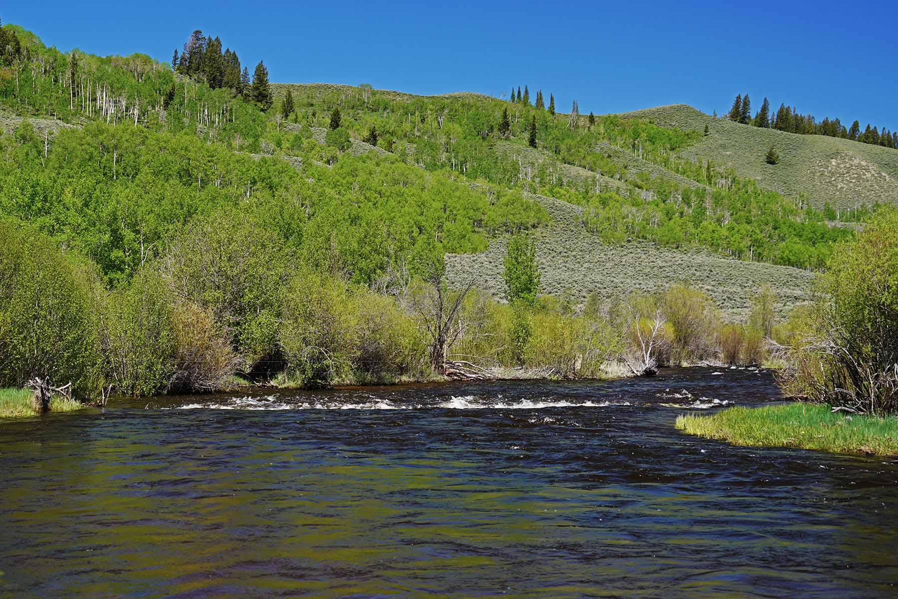 Diamond Tail Ranch property picture 63 of 119