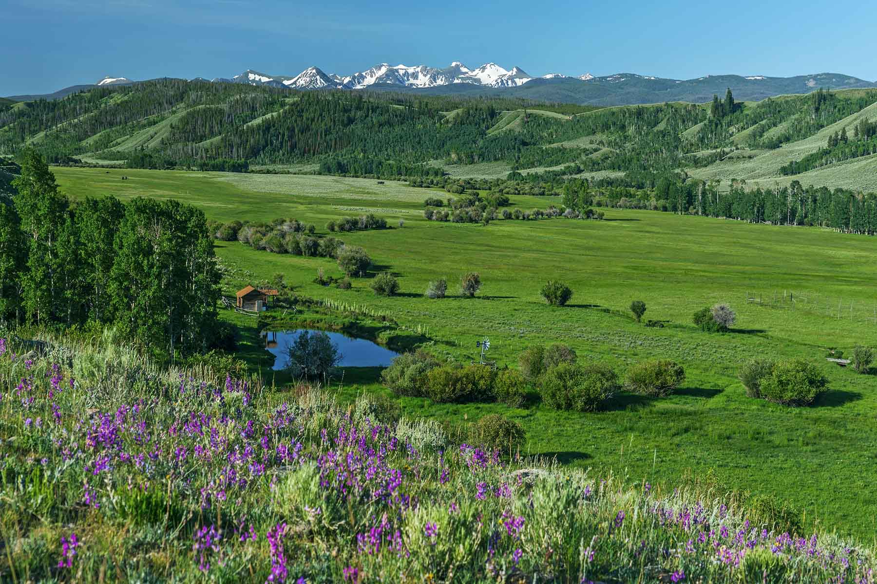 Diamond Tail Ranch property picture 44 of 119