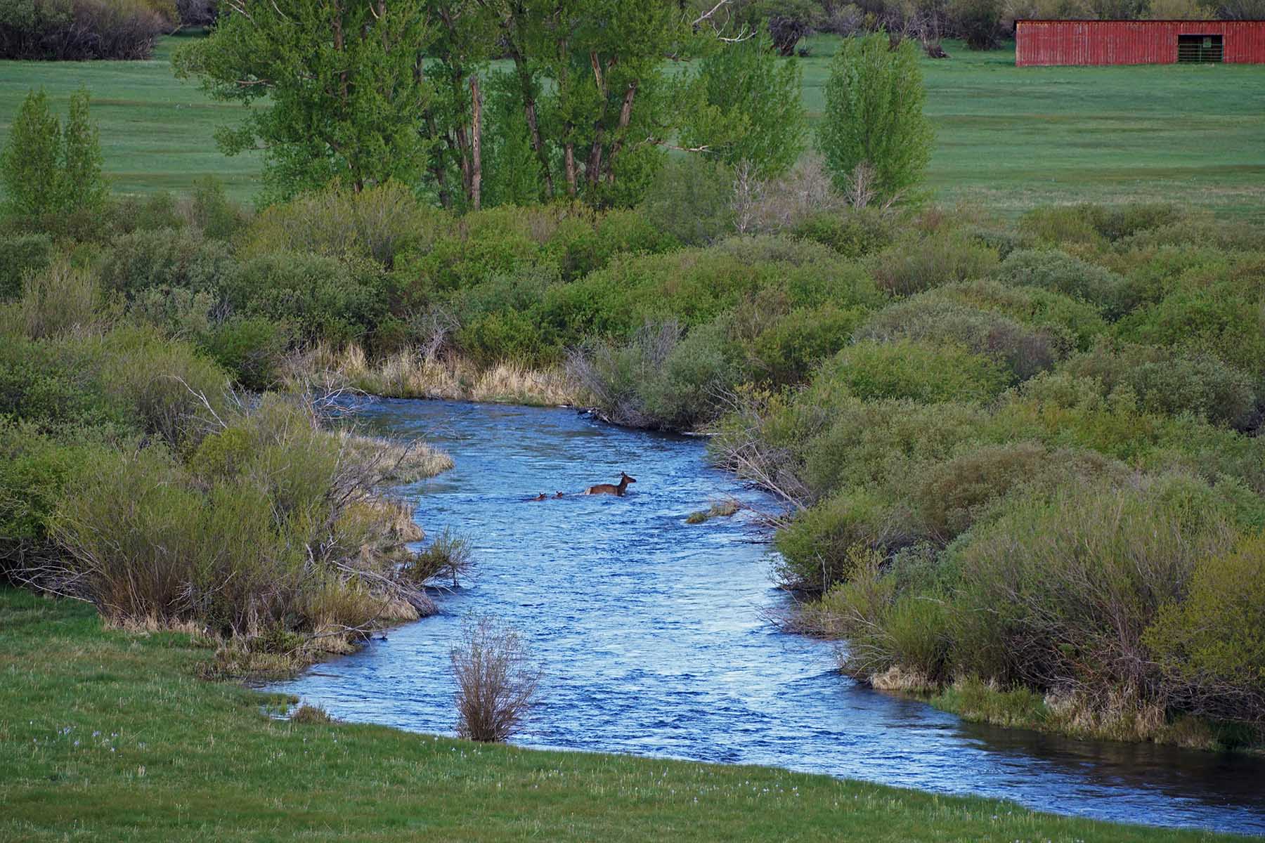 Diamond Tail Ranch property picture 90 of 119