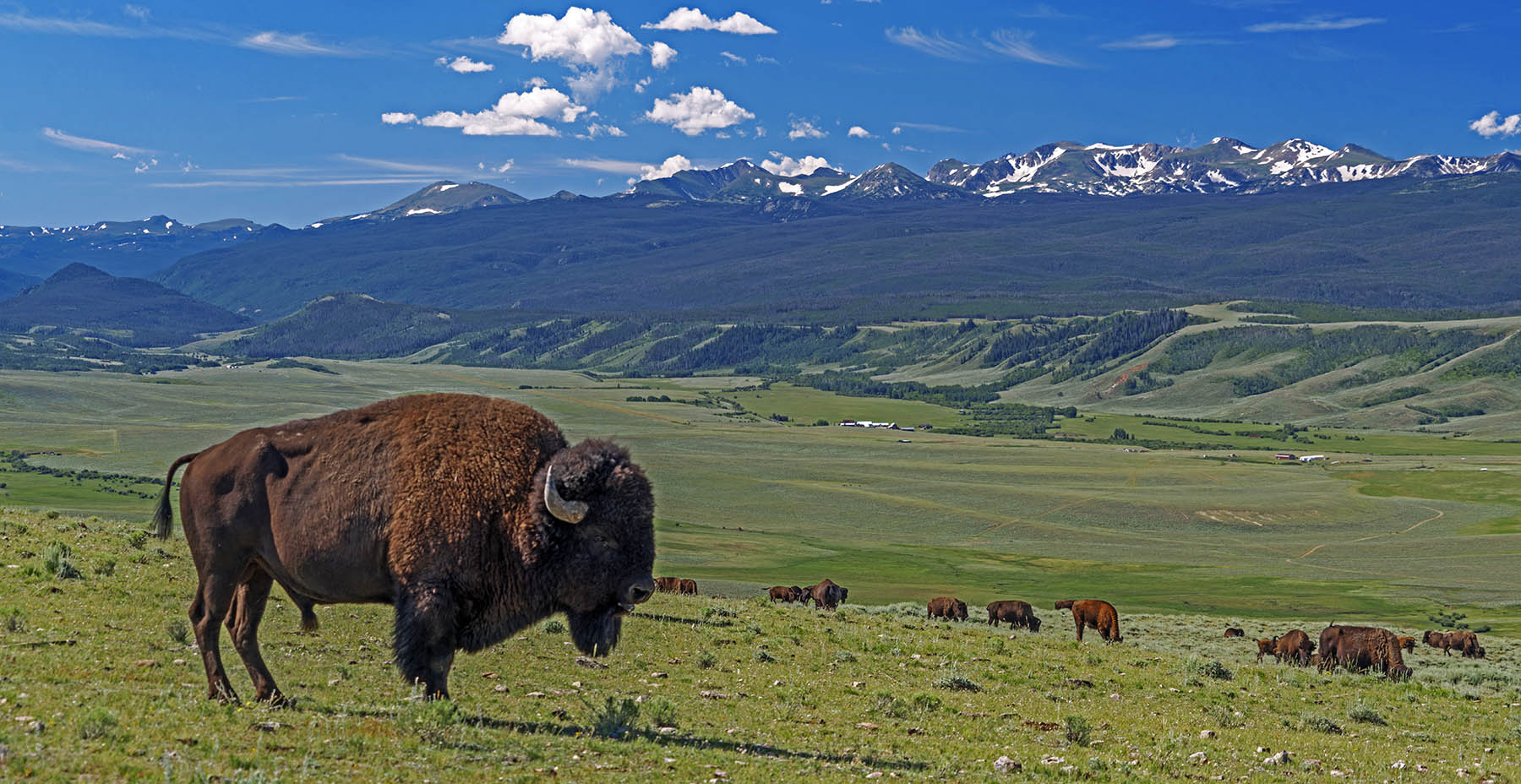 Diamond Tail Ranch property picture 119 of 119