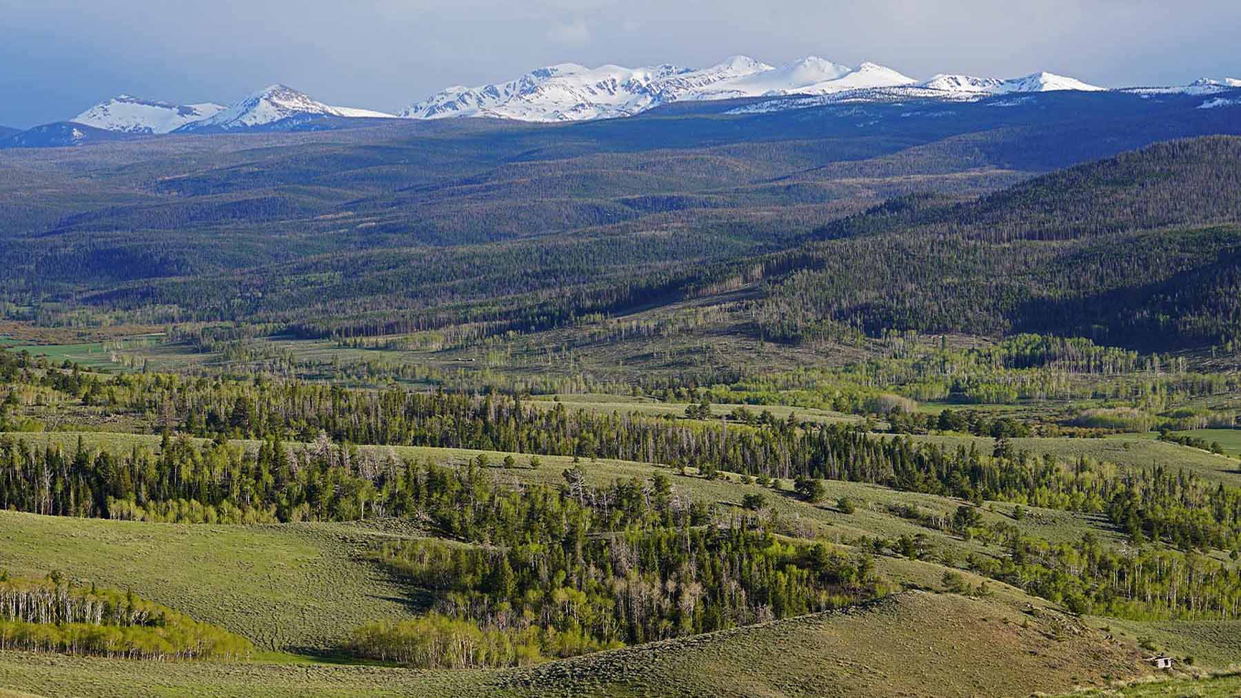 Diamond Tail Ranch property picture 25 of 119