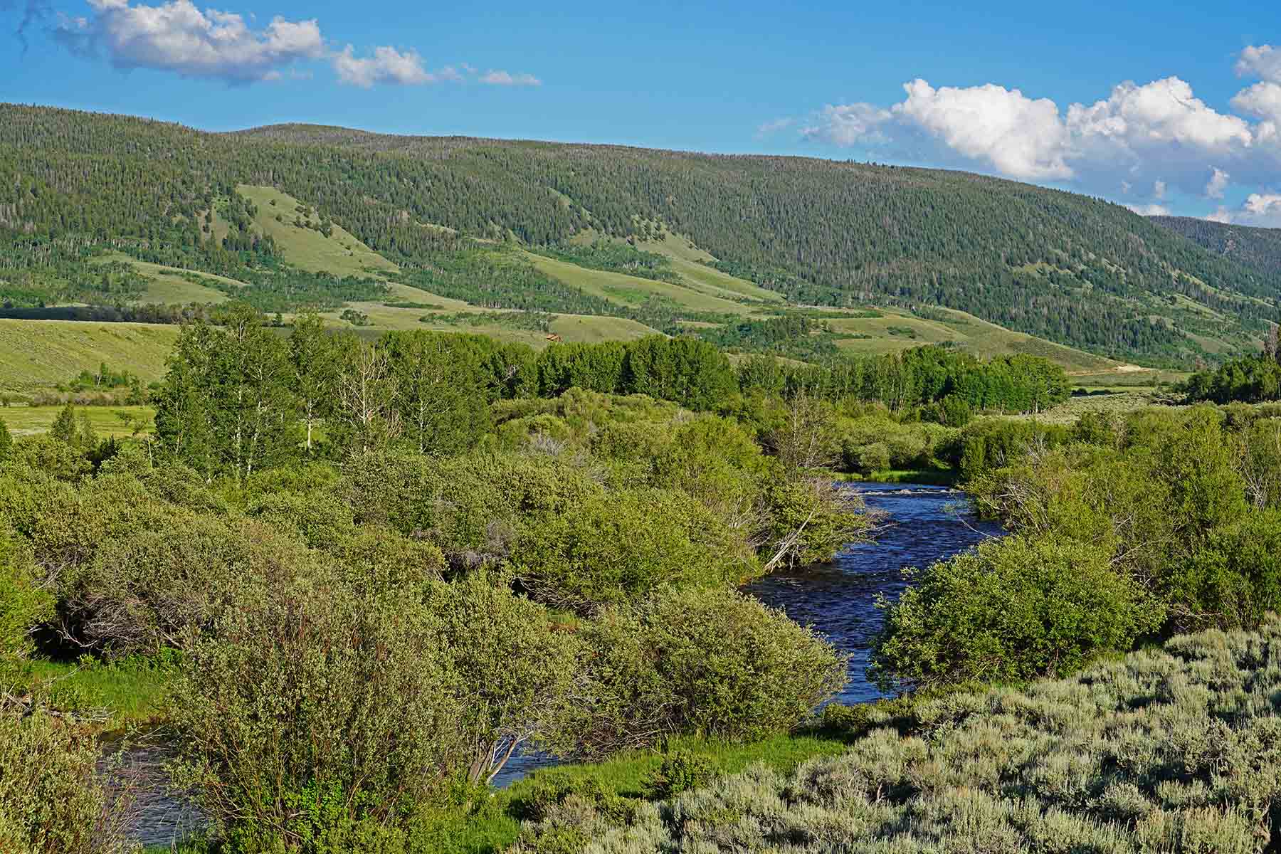 Diamond Tail Ranch property picture 64 of 119